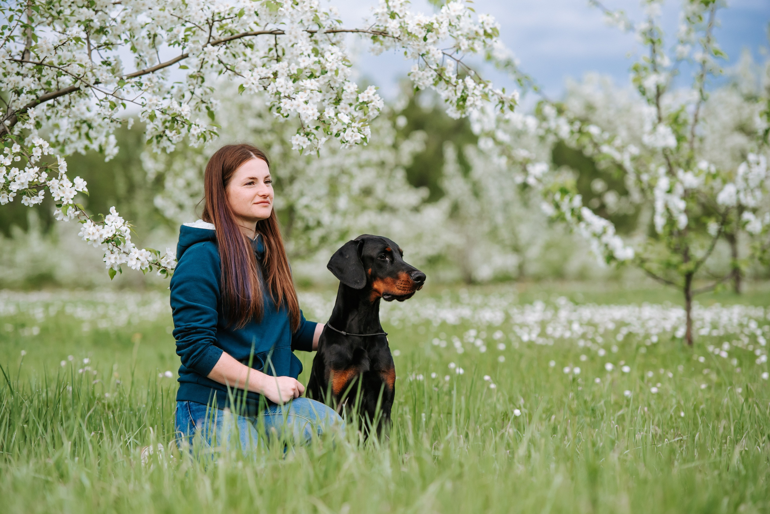 Цветение с доберманами. Фотограф Диана Оленина Красноярск / Братск