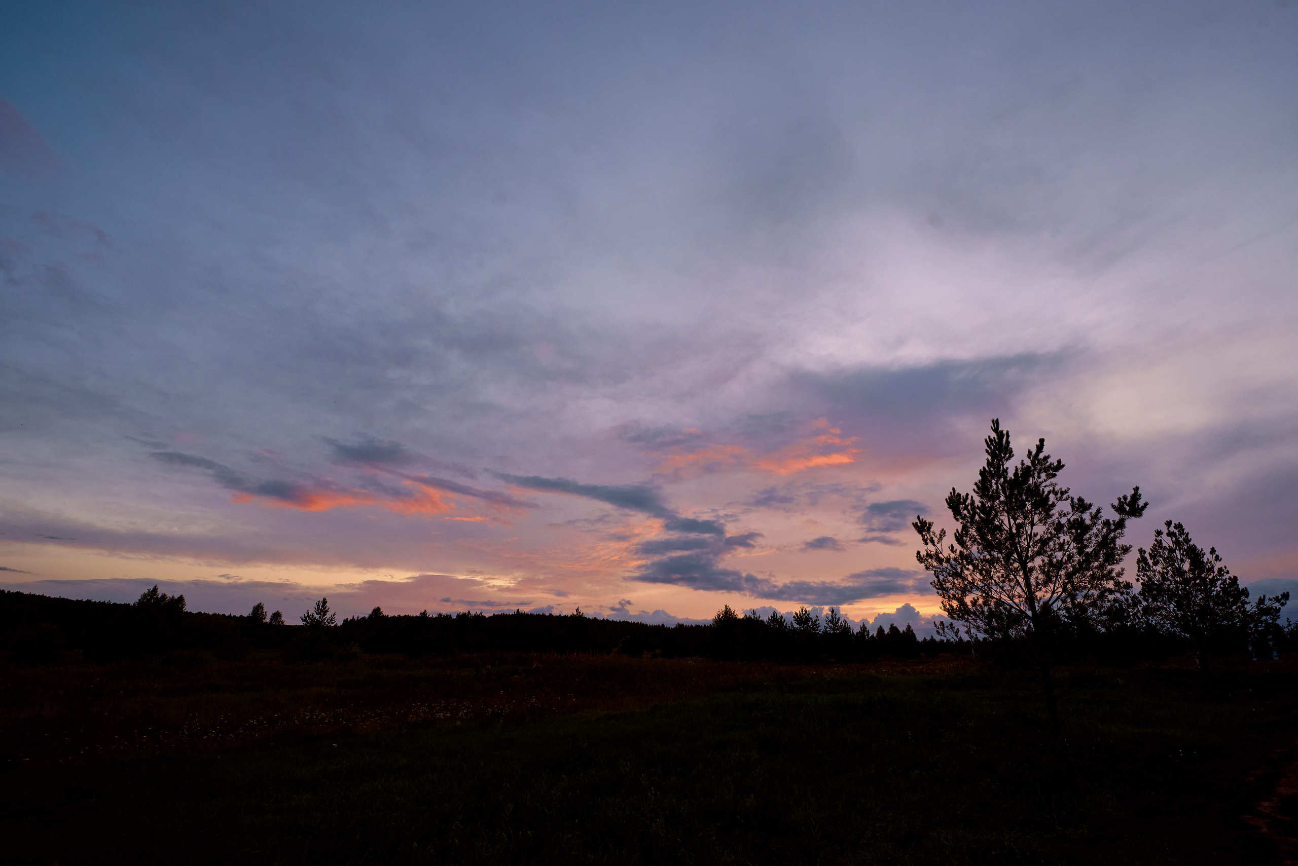 Виктор и Полина. Фотограф в Саранске Дмитрий Емелин