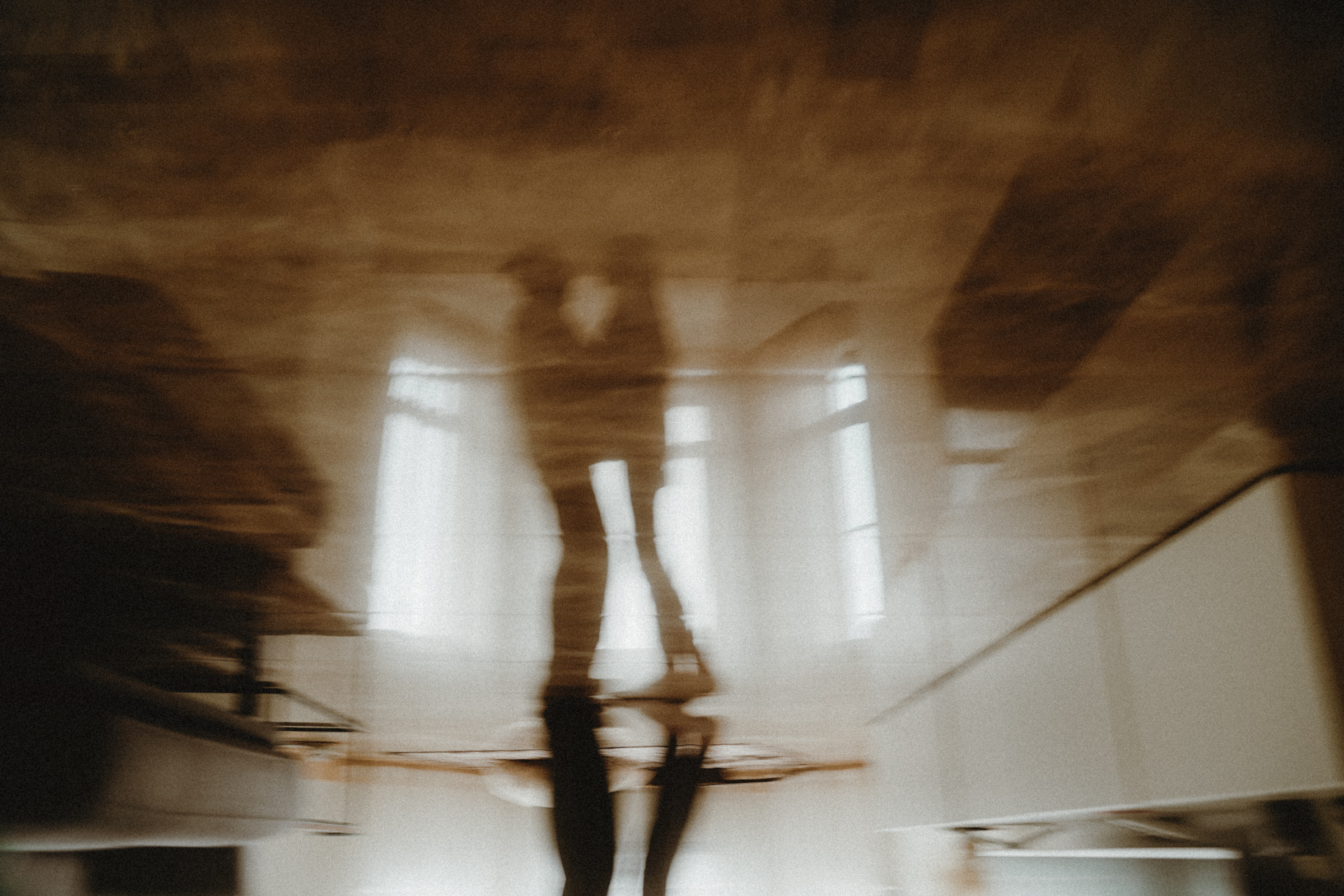 Котики. Фотограф в Ростове-на-Дону и Краснодаре Роман Кудрявцев