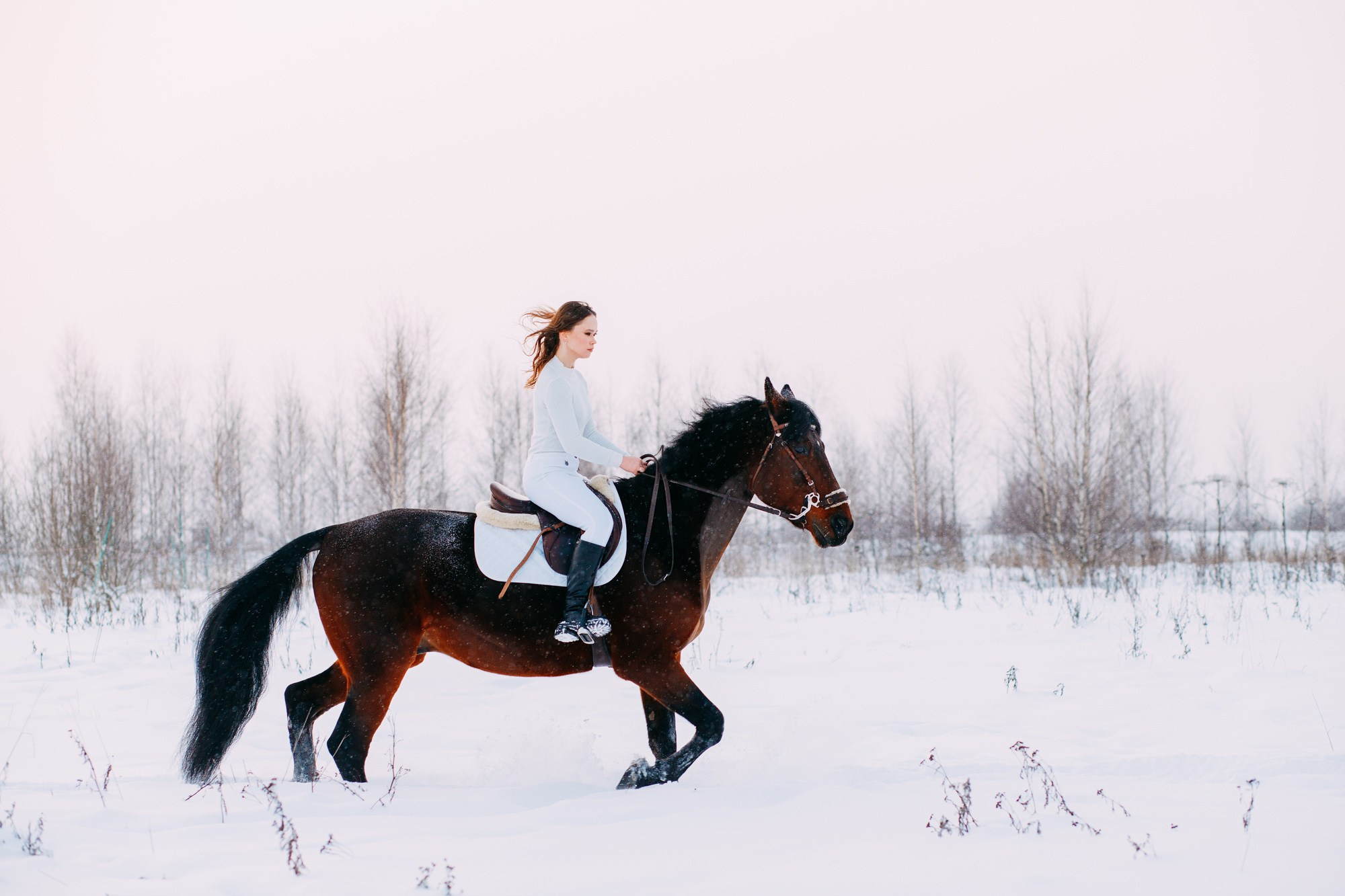 Зимняя фотосессия с лошадкой. Фотограф в Санкт-Петербурге Alina Film