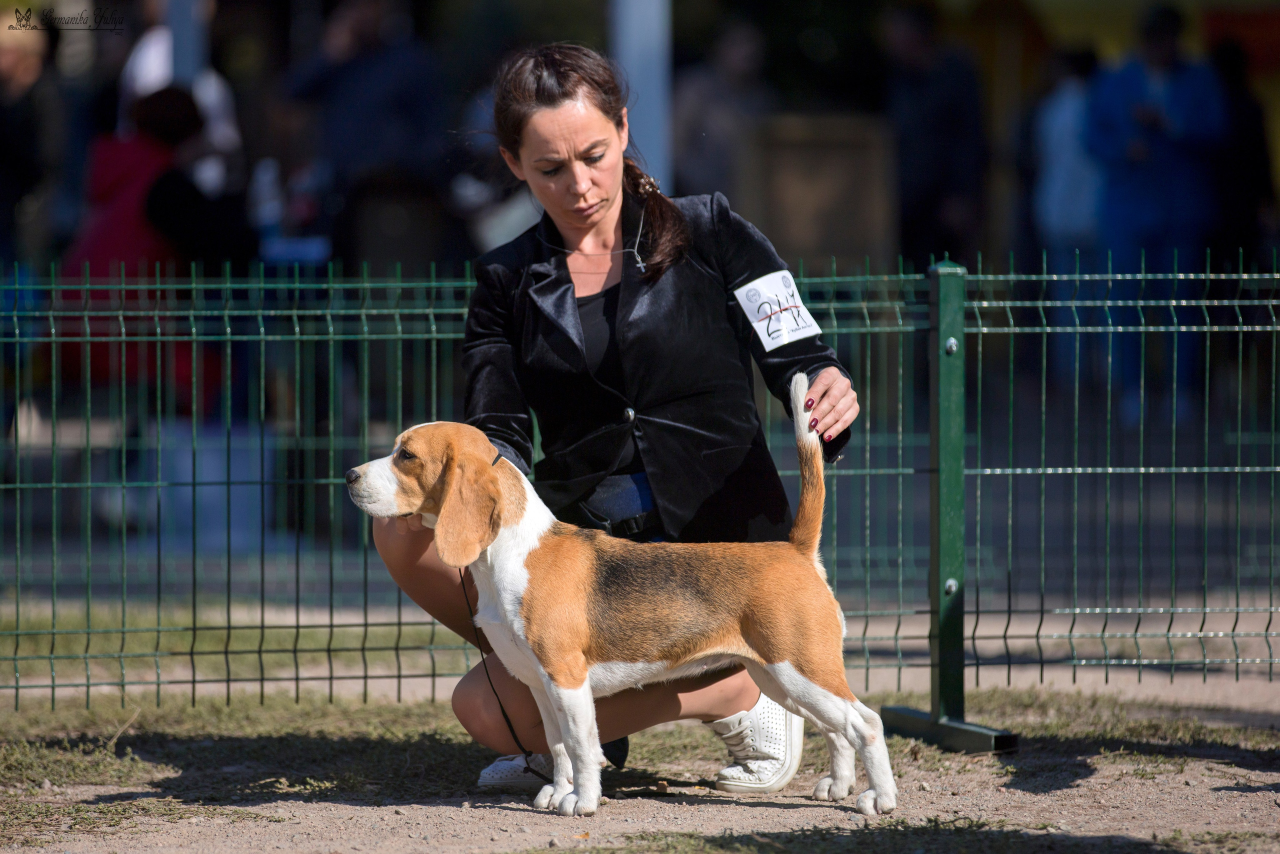Бишкек 29.09-01.10.2023. Фотограф-анималист Юлия Германика