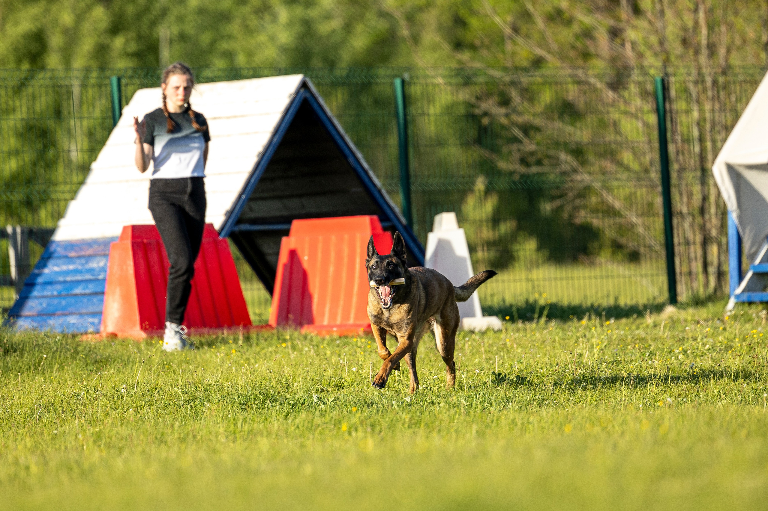 Испытания по мондьорингу в Нижнем Новгороде. Фотограф-анималист Анна Маринич