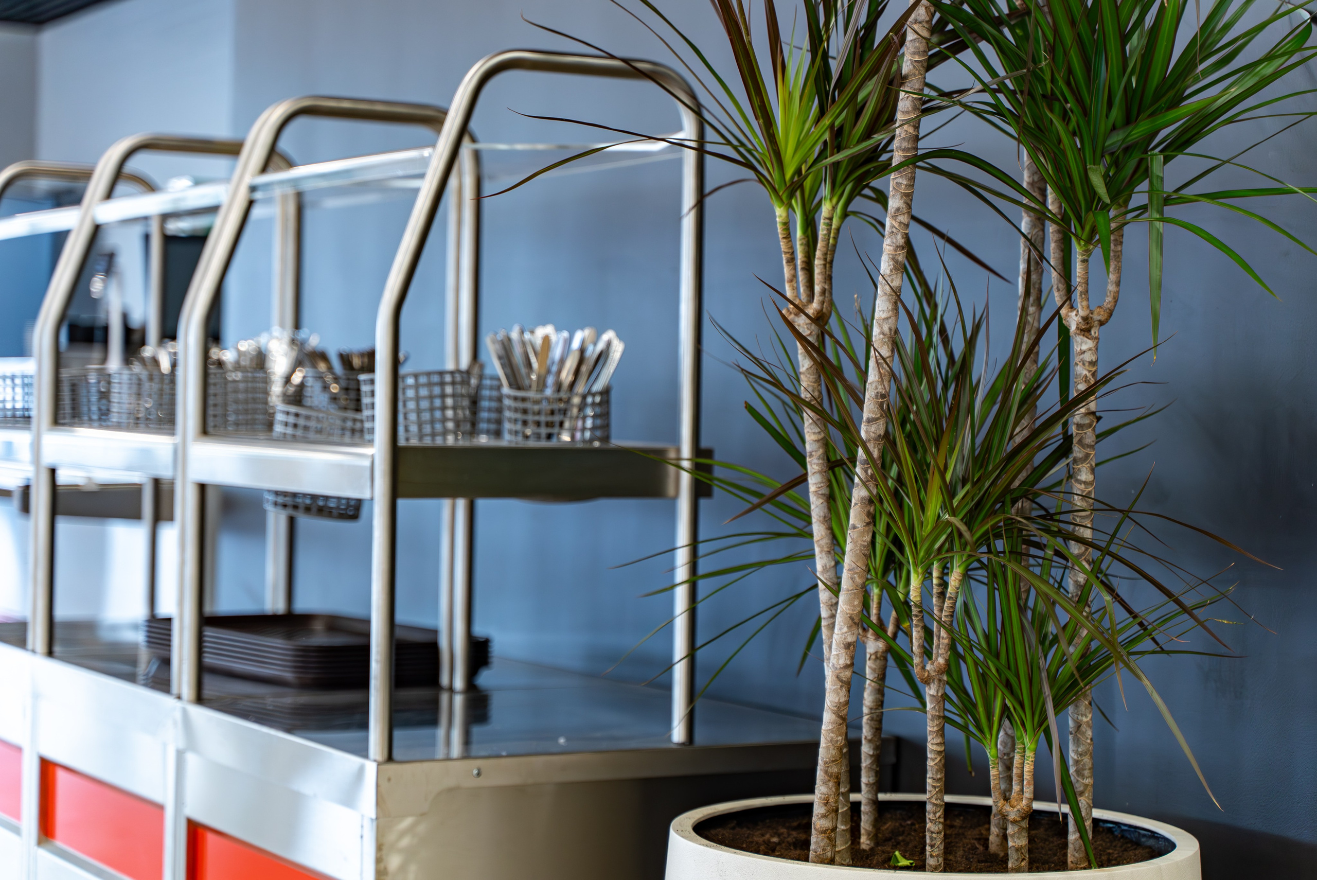 Индустриальный парк — озеленение. KUSTOV PRODUCTION — профессиональная фотосъёмка в Москве