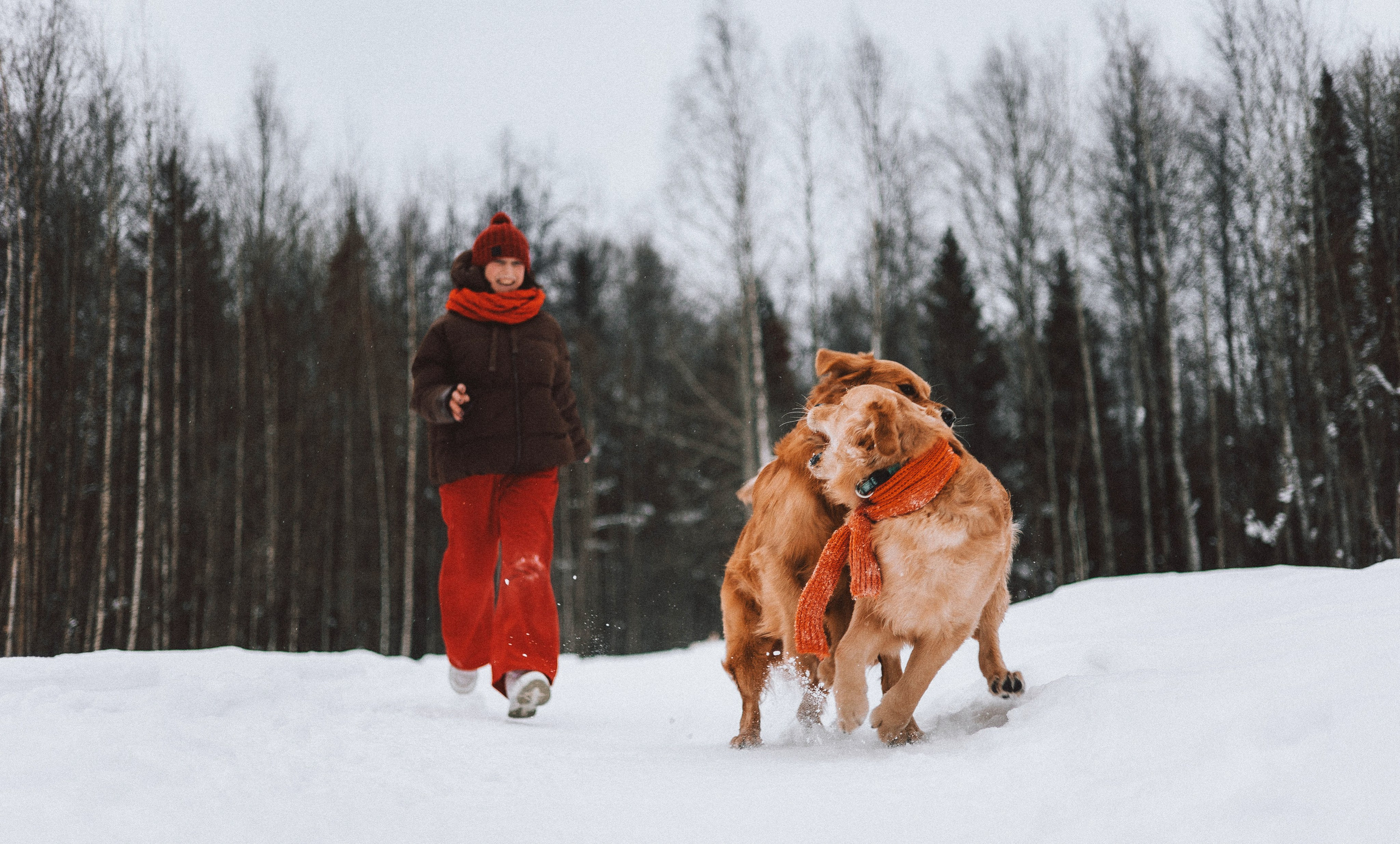 Саша, Юля, Грэй и Джой. Фотограф-анималист Богданова Полина
