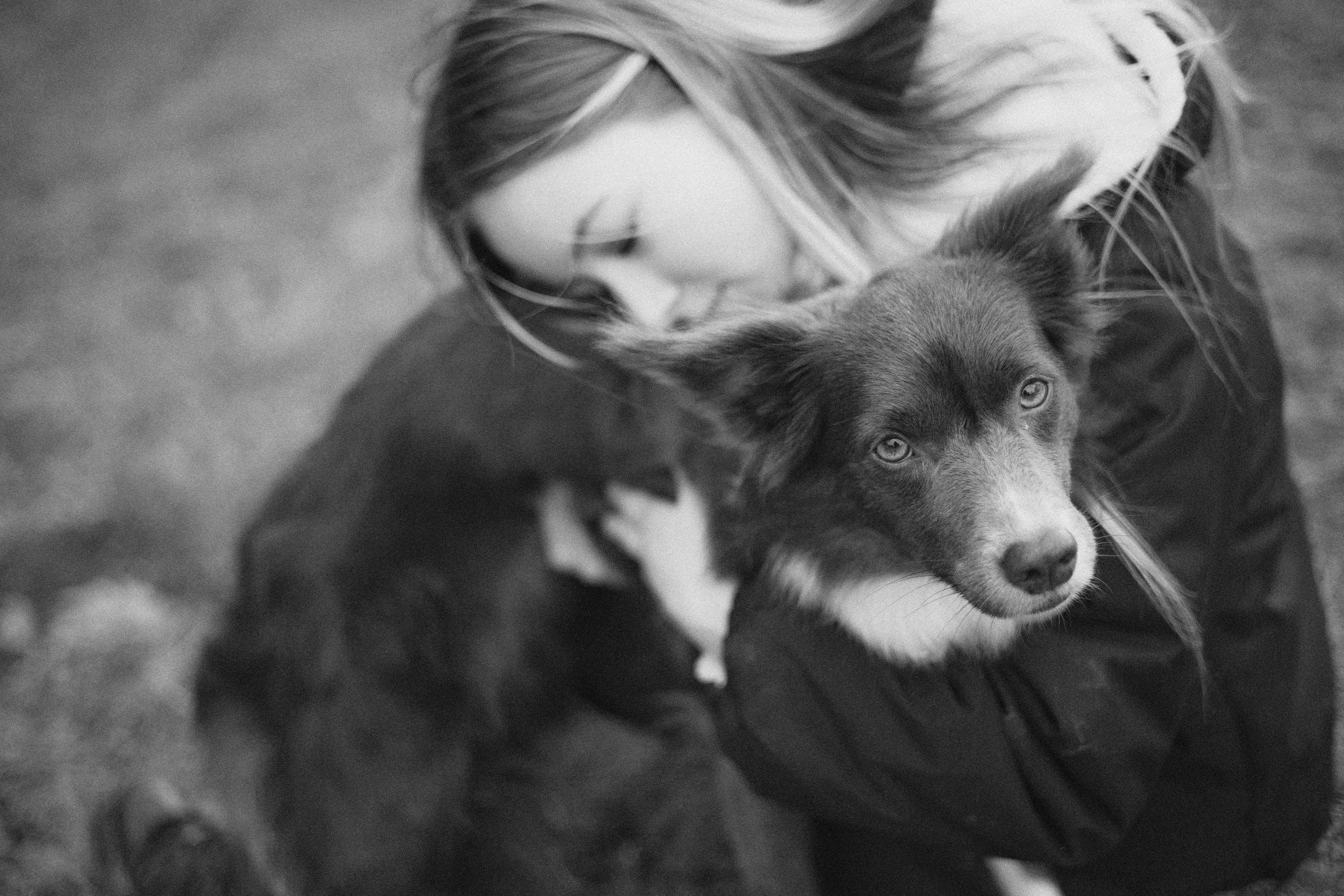 Даша и Дже. Фотограф-анималист Богданова Полина