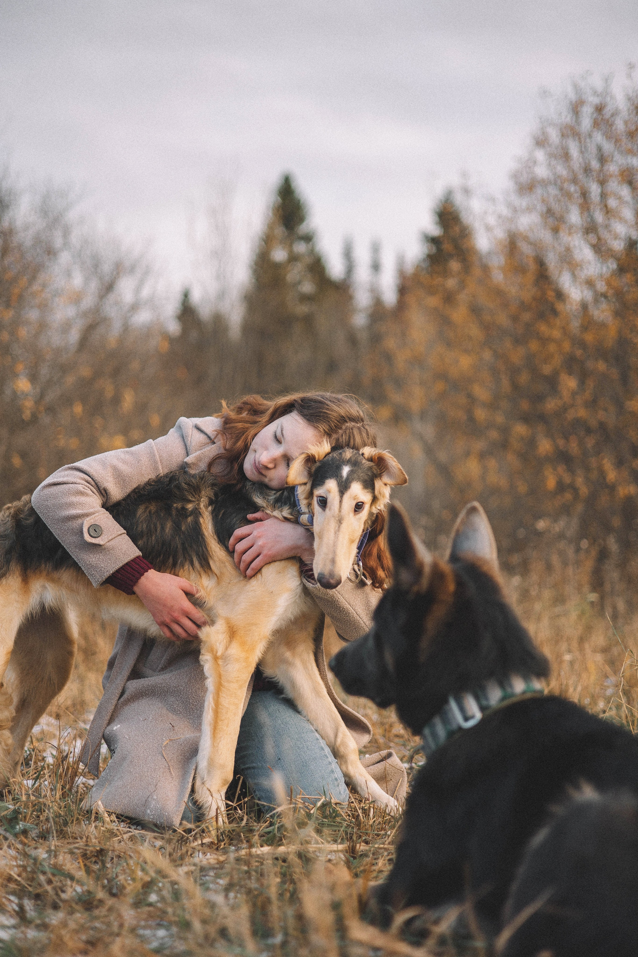 Алена, Леви и Микаса. Фотограф-анималист Богданова Полина