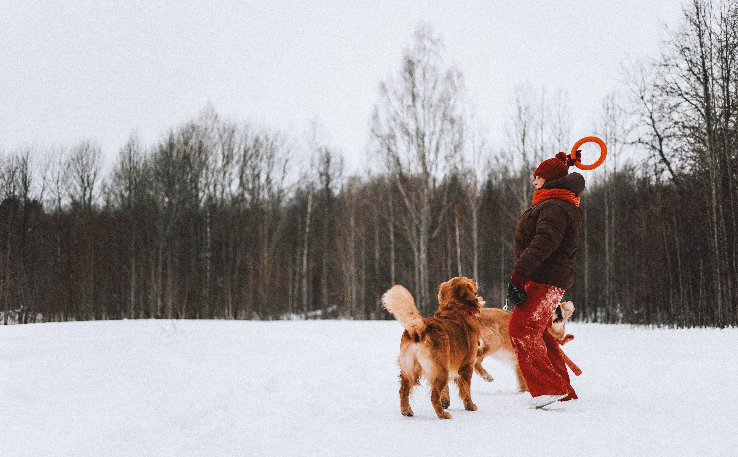 Саша, Юля, Грэй и Джой. Фотограф-анималист Богданова Полина