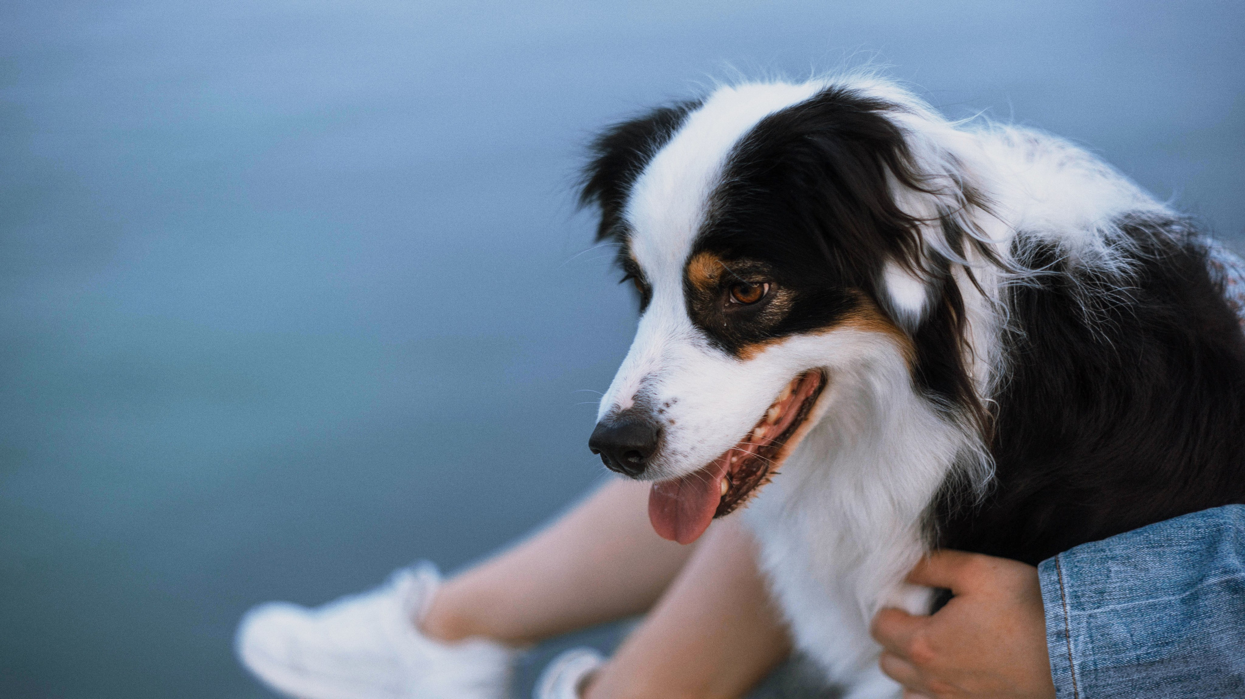 Ира и Джесс. Фотограф-анималист Богданова Полина