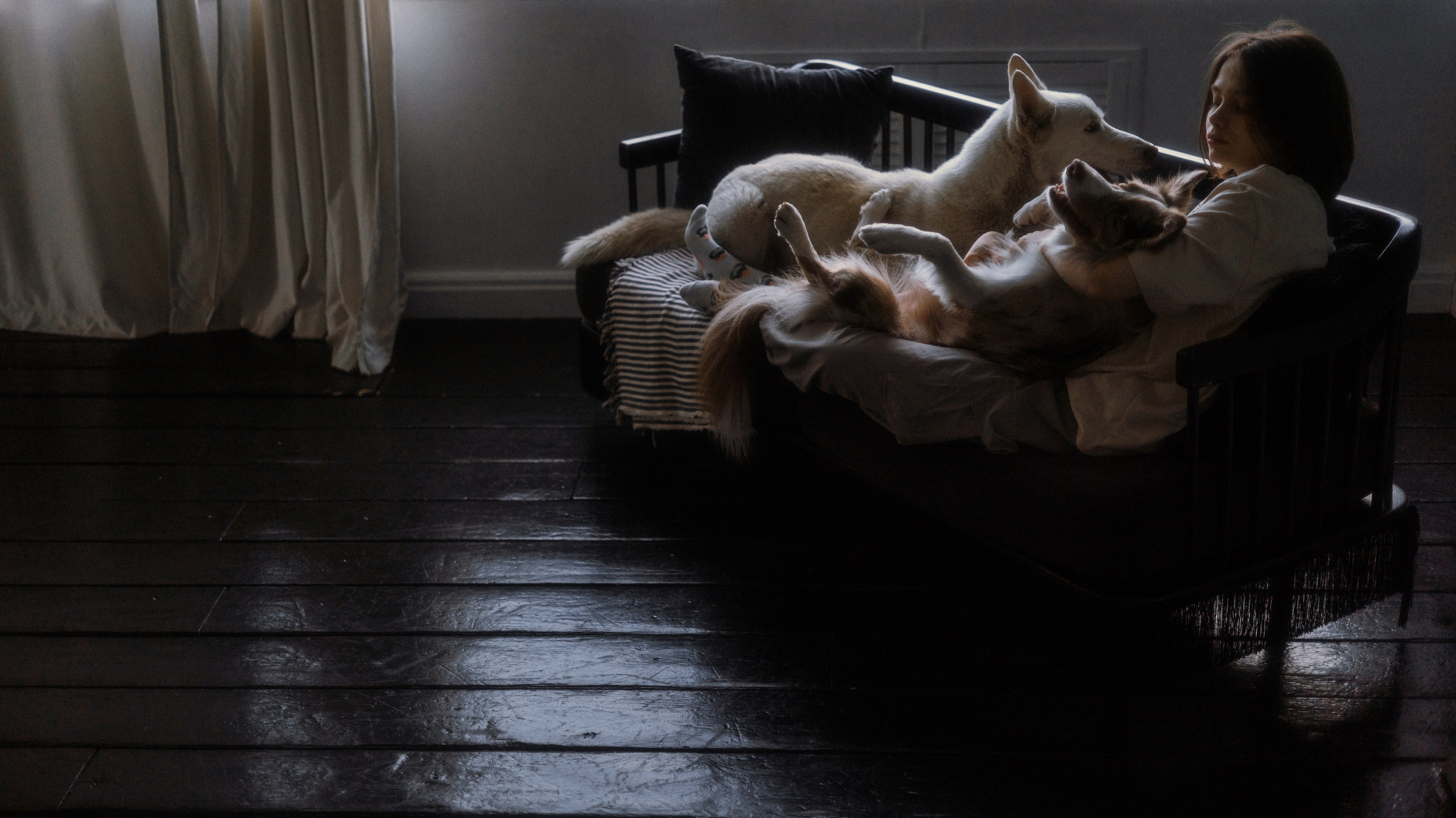 Аня, Дэймон и Грэй. Фотограф-анималист Богданова Полина