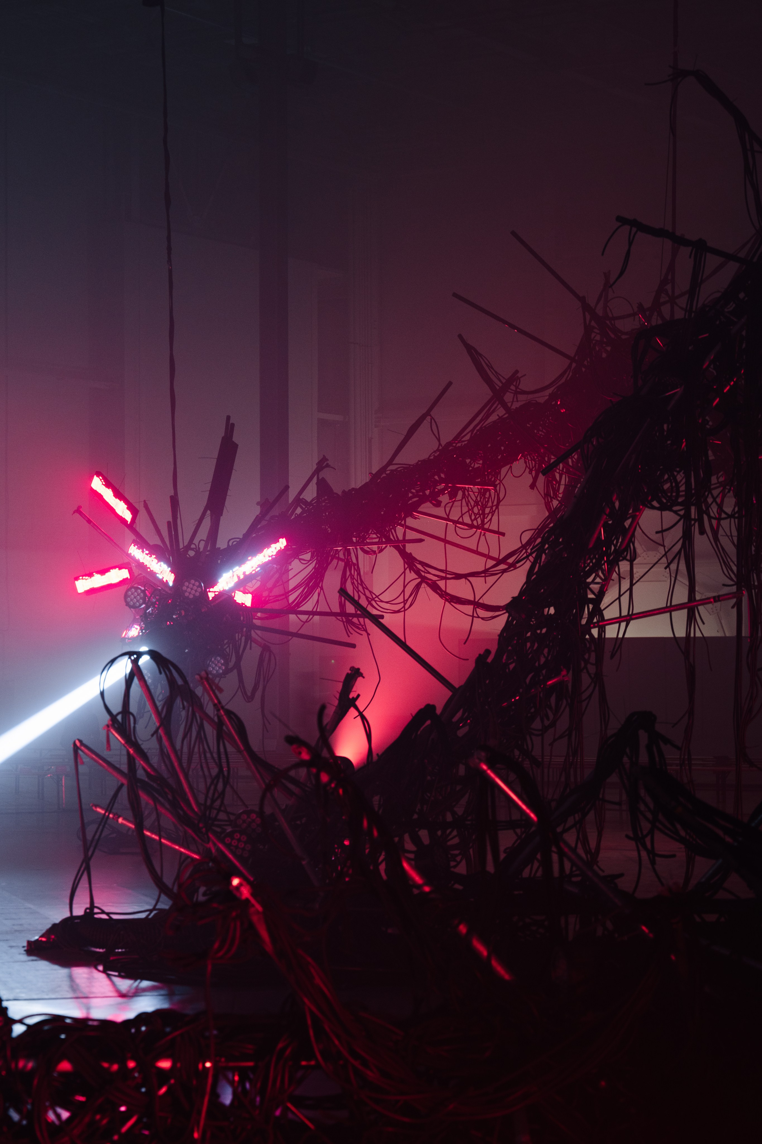 PANTERRA, CHRONOMORPH 001. @tomrus: Рустам Шагиморданов — фотограф