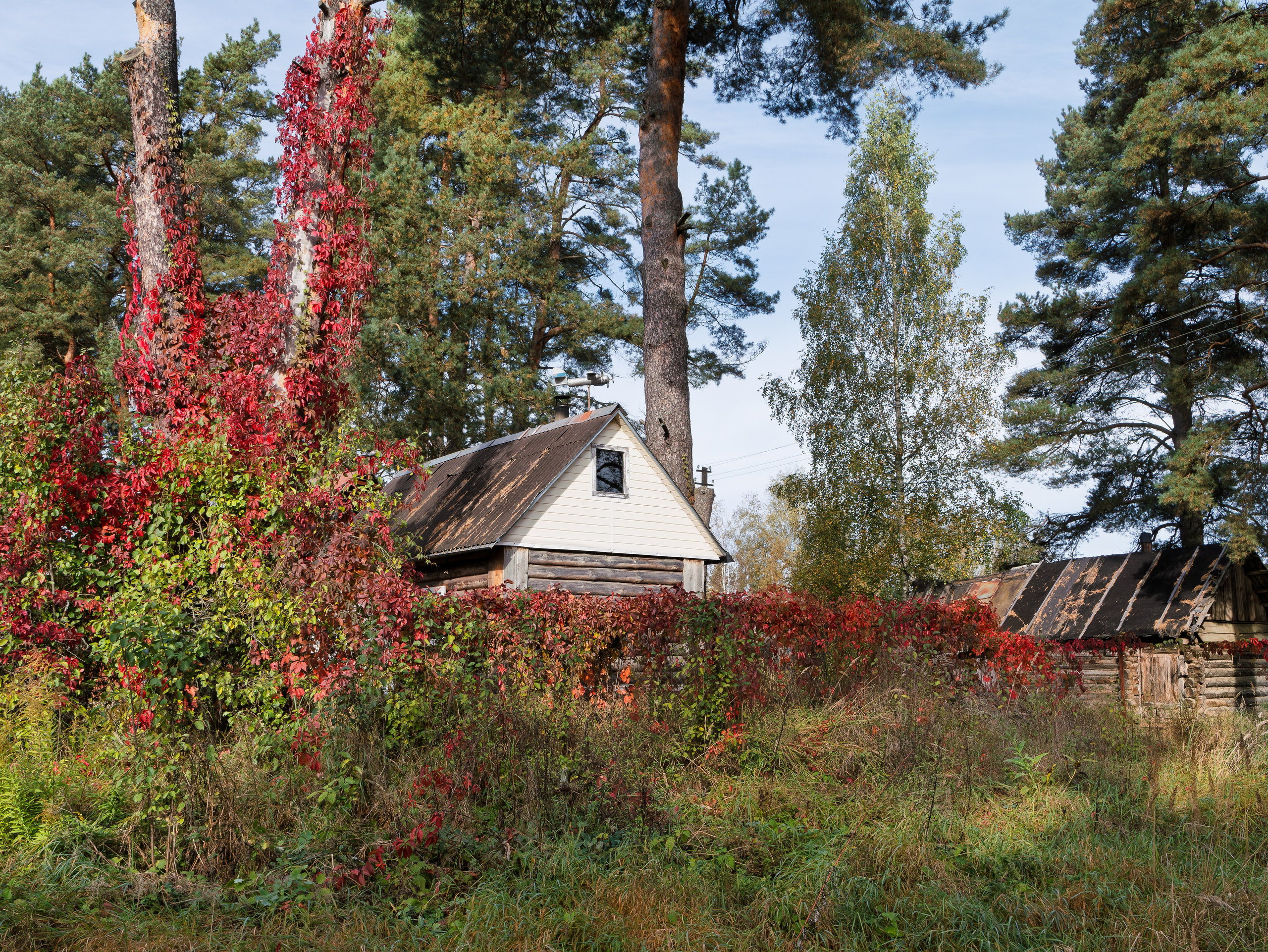 Голубые озера, Псковская область. Октябрь 2024. Фотограф Никифоров-Гордеев Сергей. Москва и МО