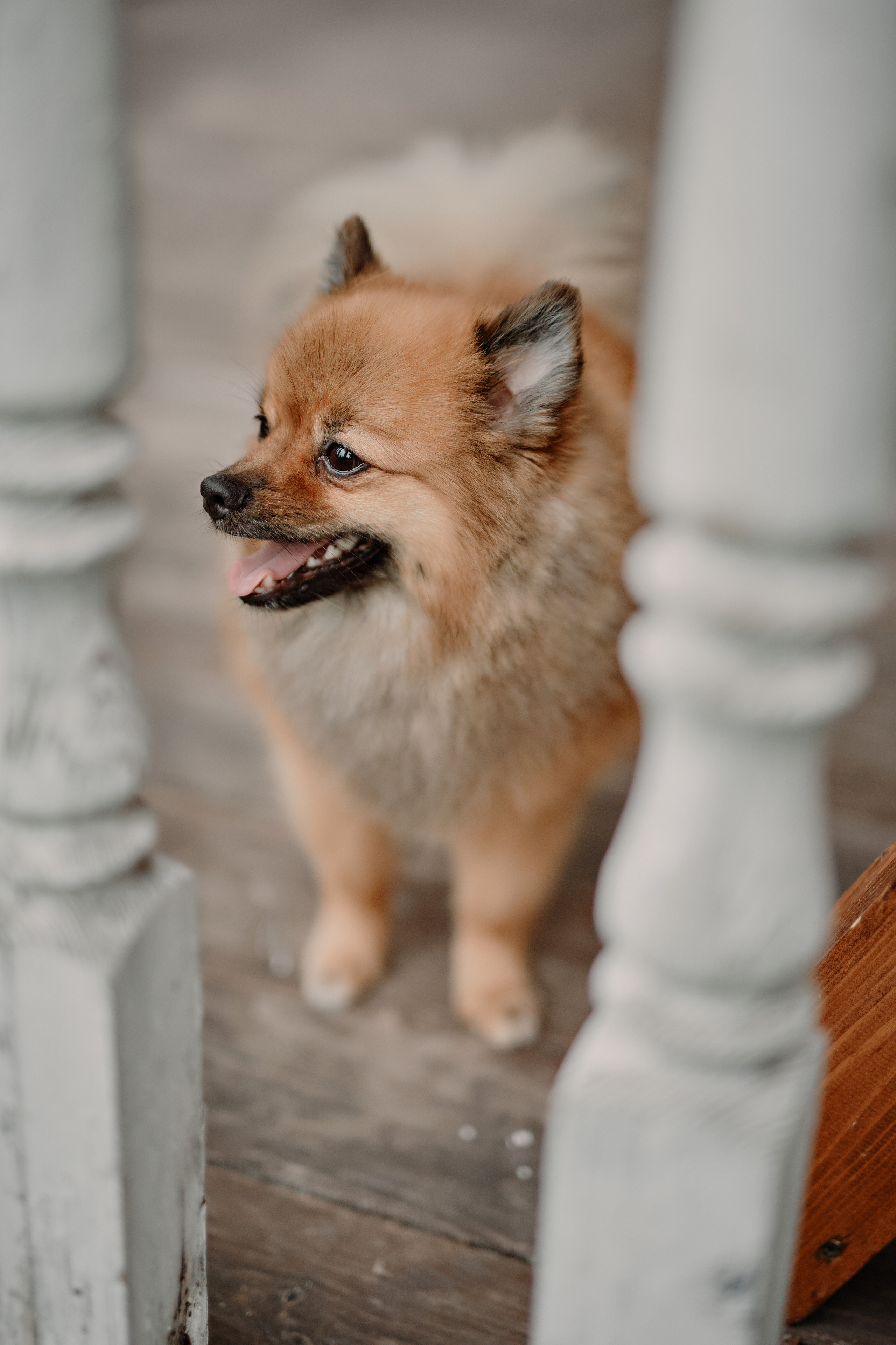 Свадьба Полины и Павла. Эко-клуб «Голицыно». Фотограф Меняйло Евгений. Свадьба. Портрет. Репортаж. Семья. Контент