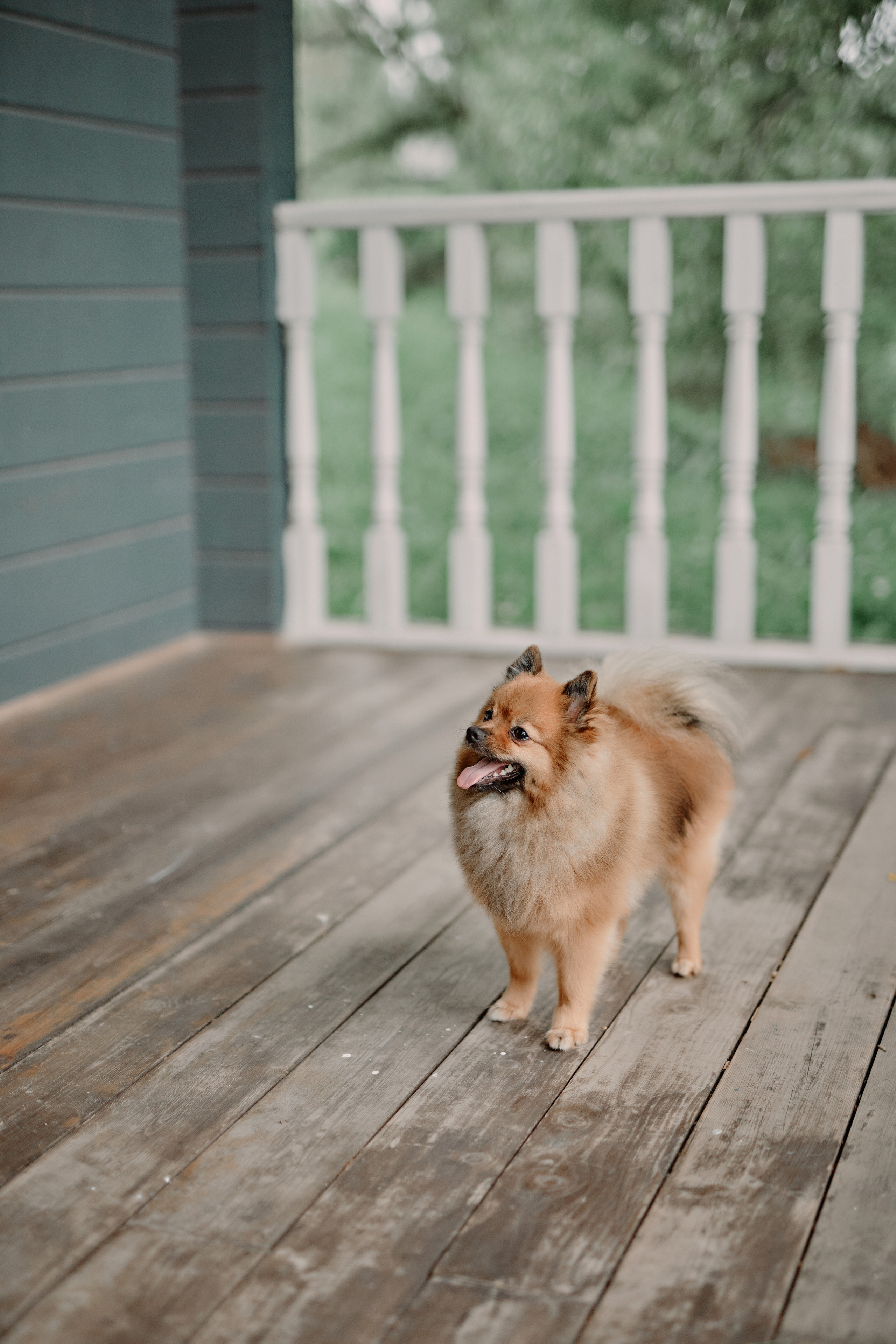 Свадьба Полины и Павла. Эко-клуб «Голицыно». Фотограф Меняйло Евгений. Свадьба. Портрет. Репортаж. Семья. Контент