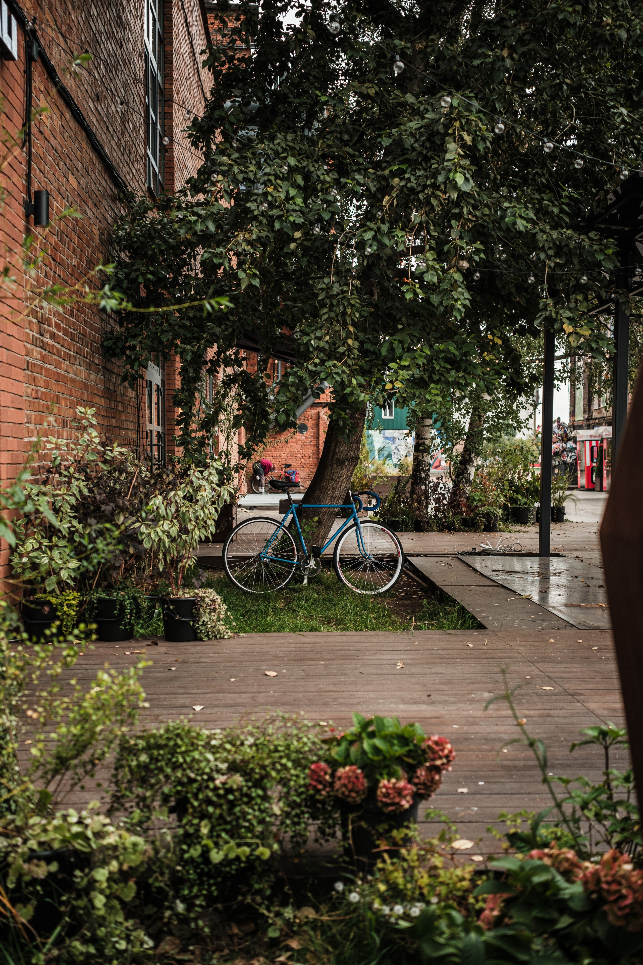 Street. Фотограф в Санкт-Петербурге Шевцов Андрей
