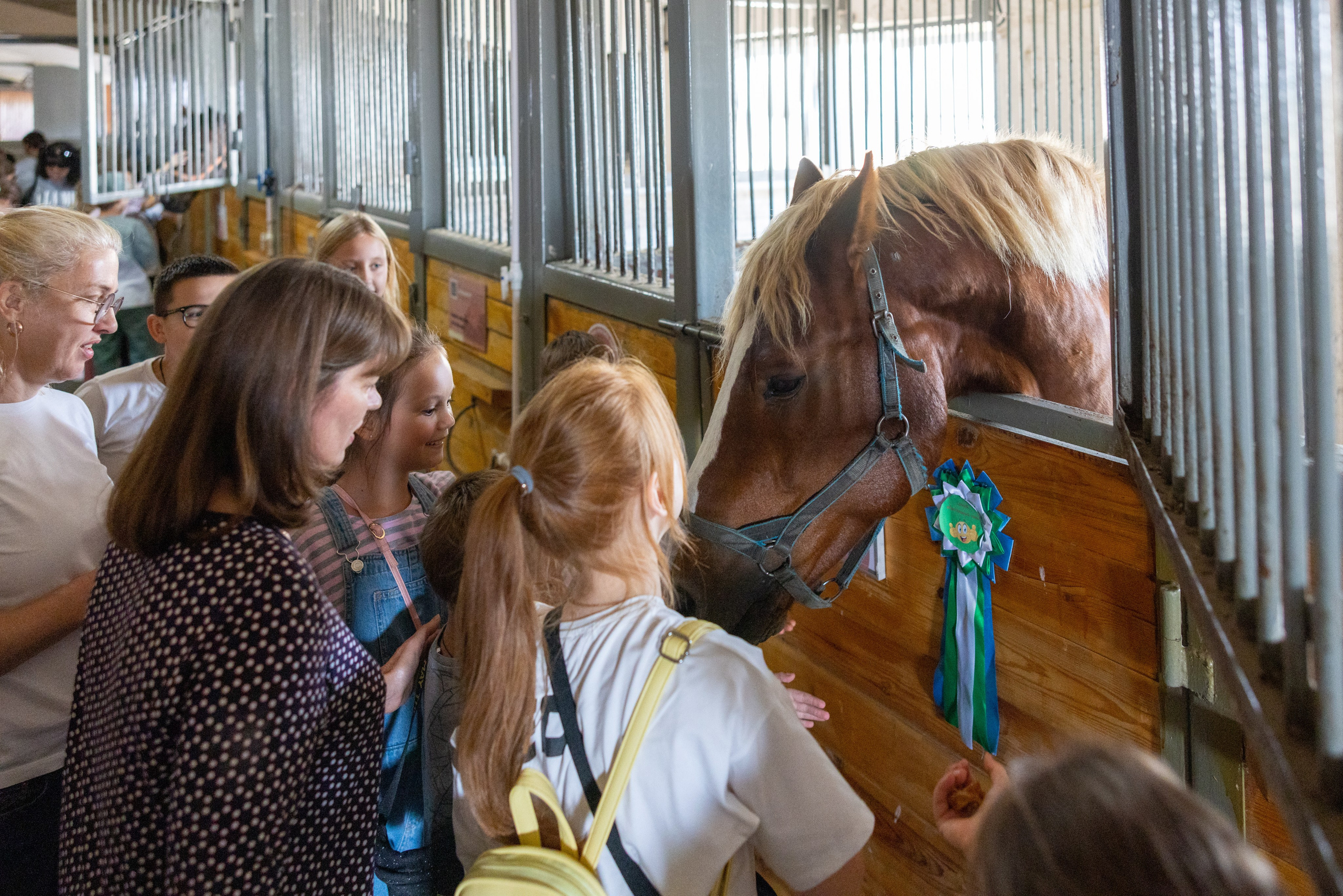 Поездка на поле Кулеково. Фотограф в Туле Крупский АнДРей. Фотостудия «КАДР71» в Туле