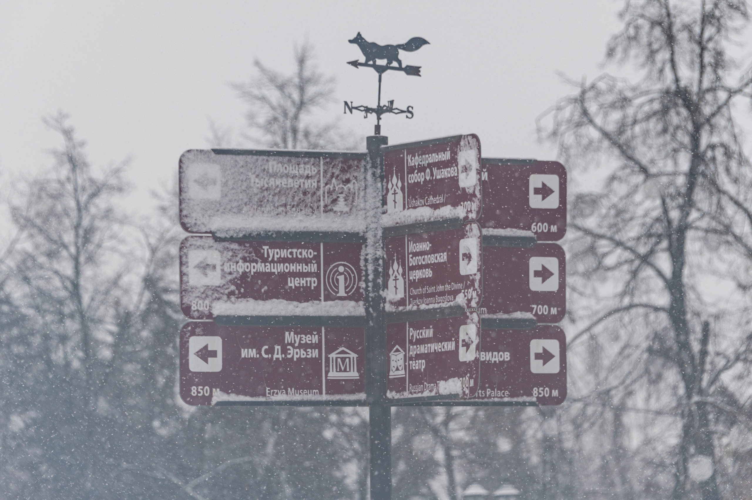 Саранск. Январь 2024. Фотограф Роман Адлер