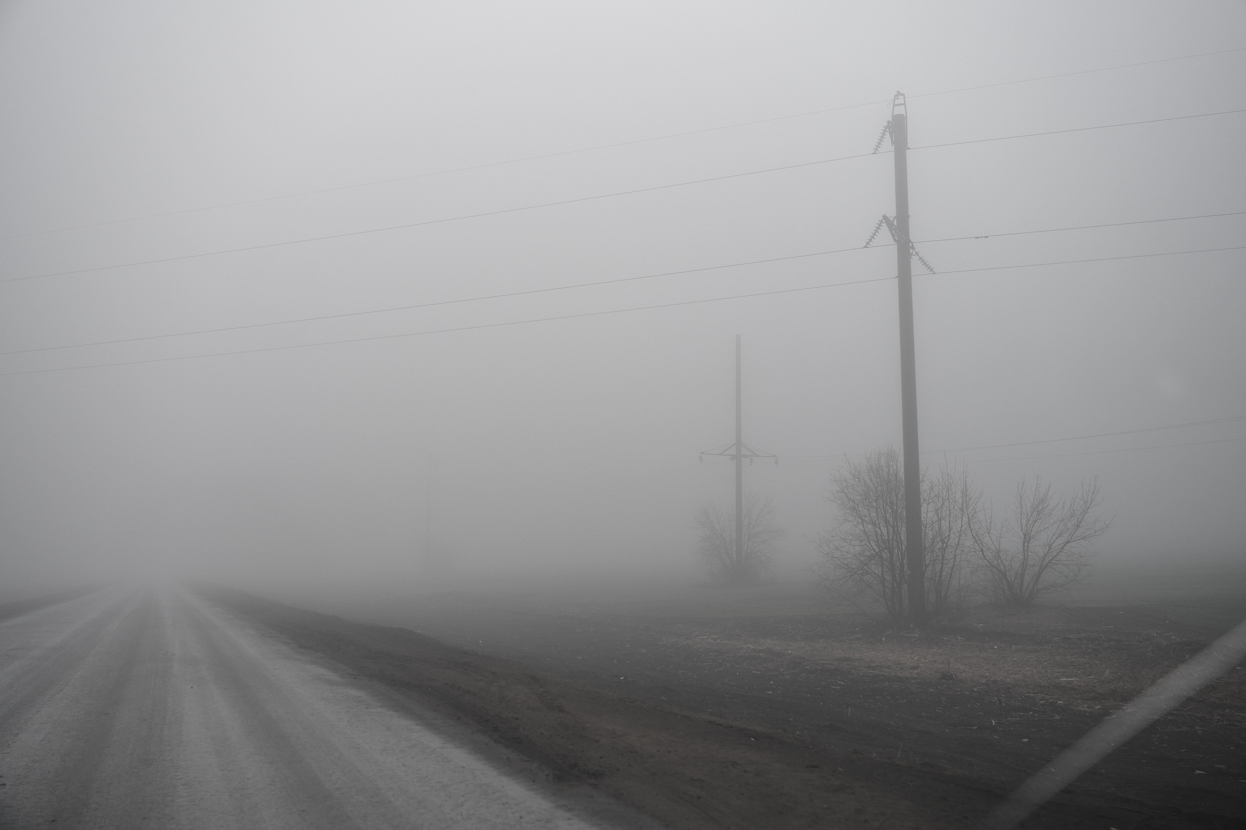 Дорога домой. Туман. Фотограф Роман Адлер