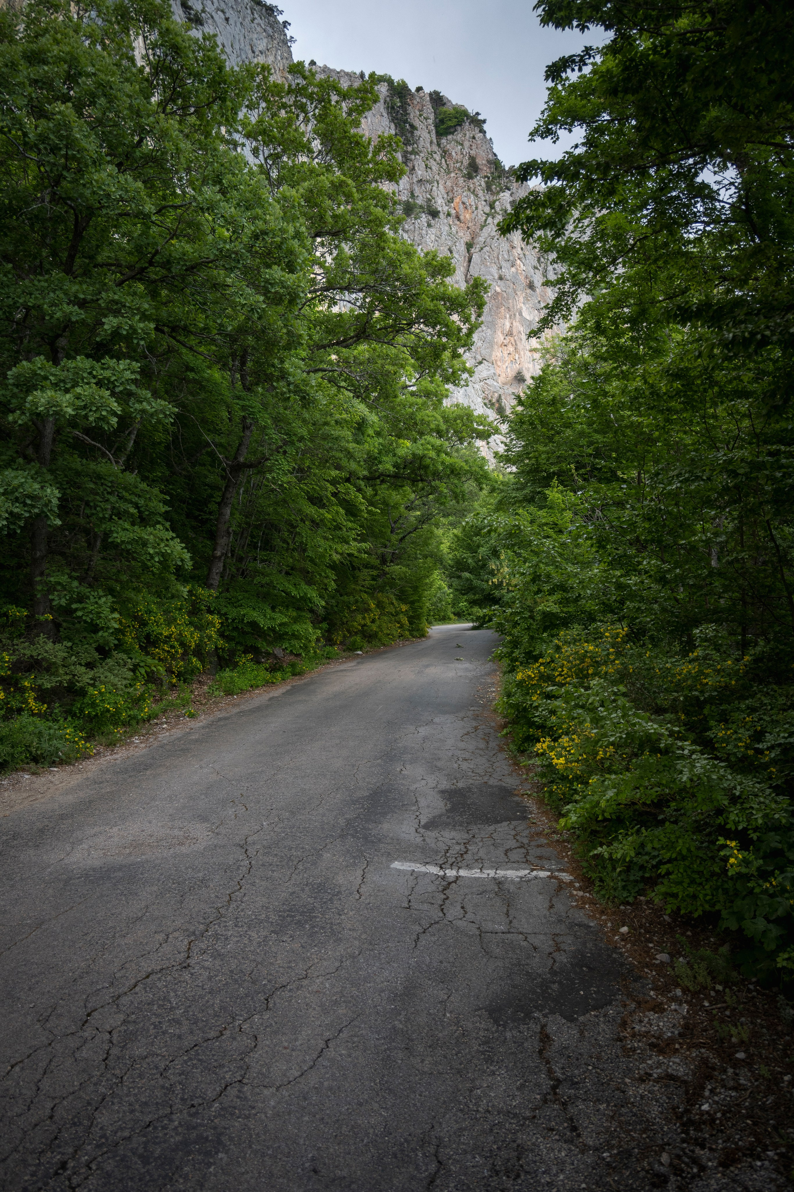 Крым май 2022. Фотограф Роман Адлер