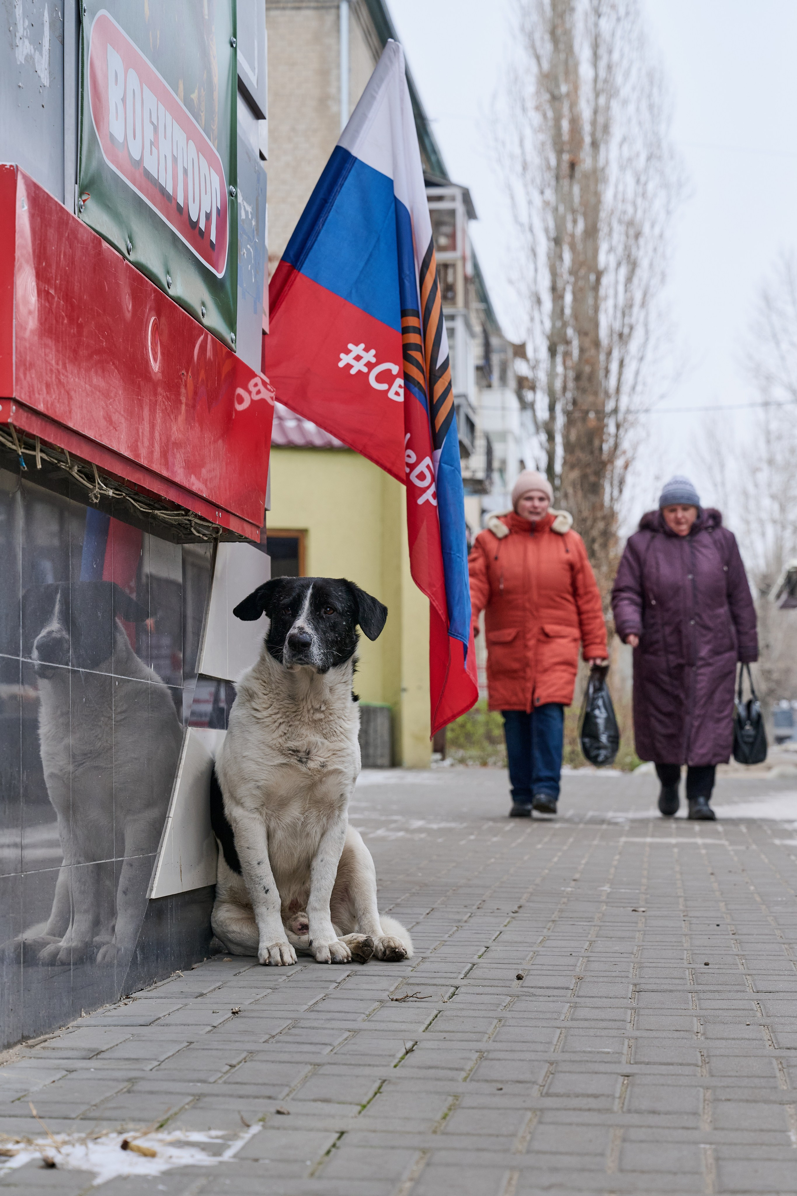 Рубежное. Декабрь 2024. Фотограф Роман Адлер