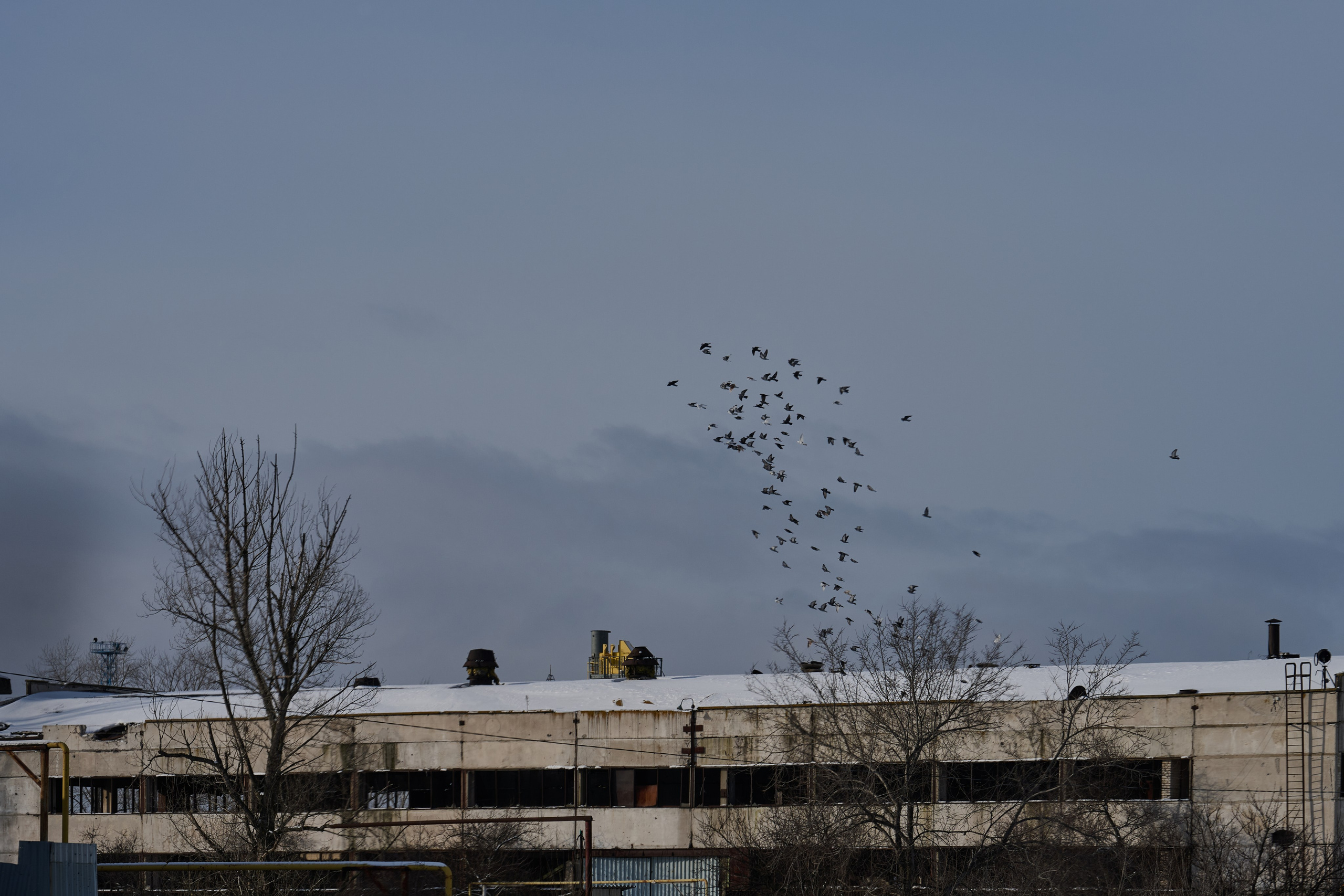 Рубежное. Январь 2026. Фотограф Роман Адлер