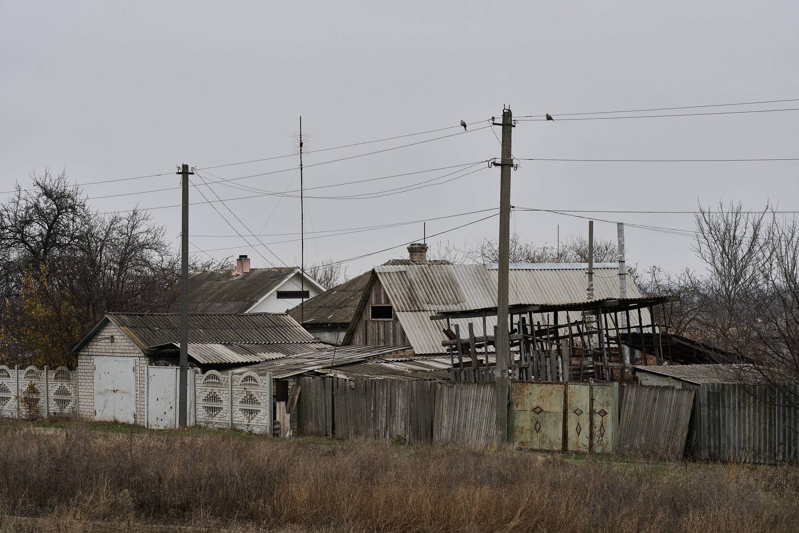 Краснореченское (Луганская область). Ноябрь 2024. Фотограф Роман Адлер