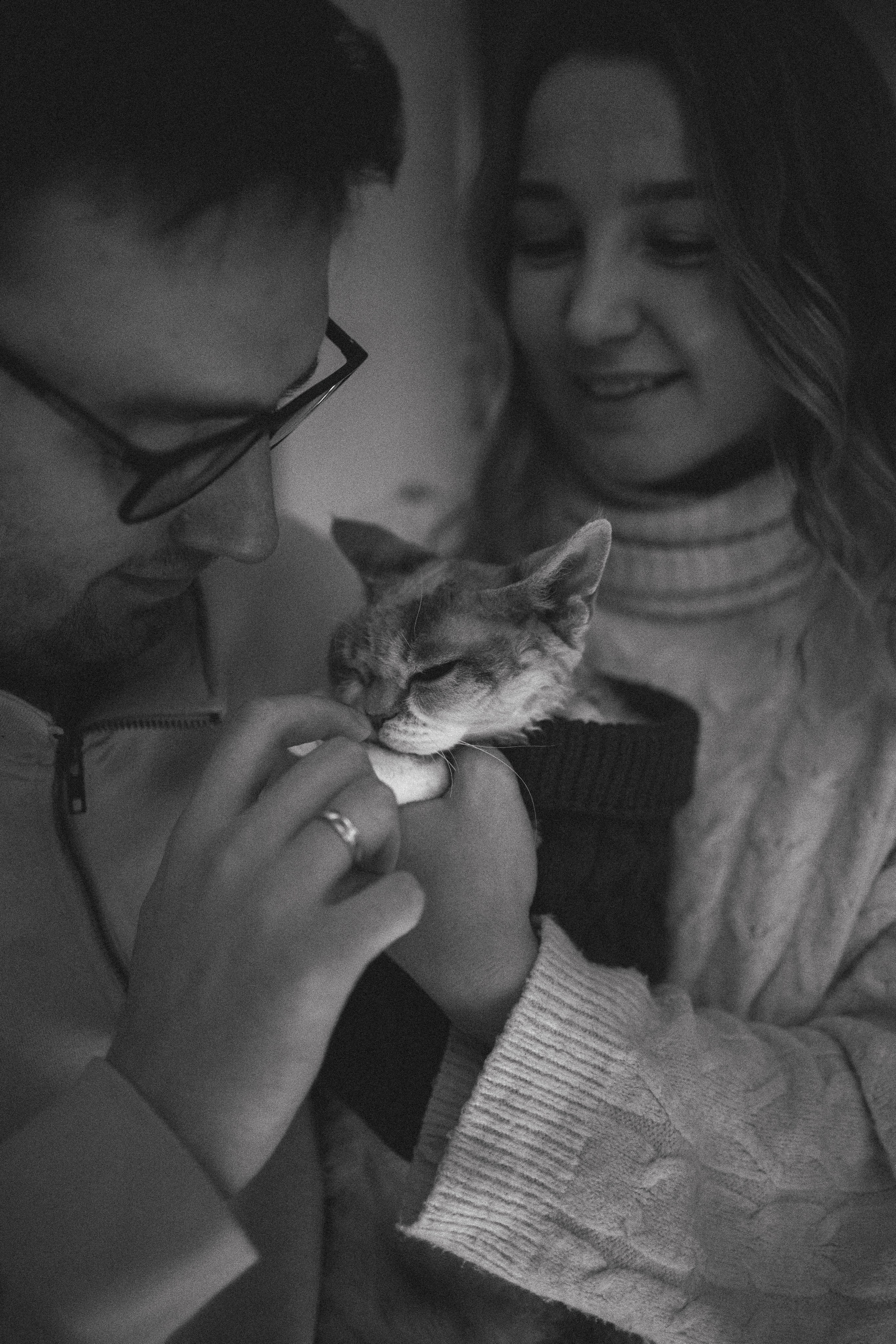 Домашняя новогодняя. Фотограф Анималист в Москве Анастасия Жучкова