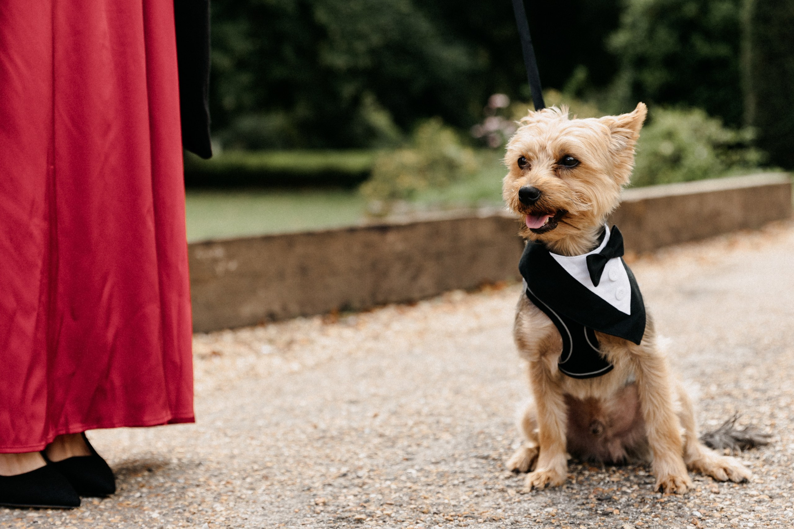 Ana & Tom Wedding at Notley Abbey. Moments Catchers — Wedding Photography & Video Duo in London