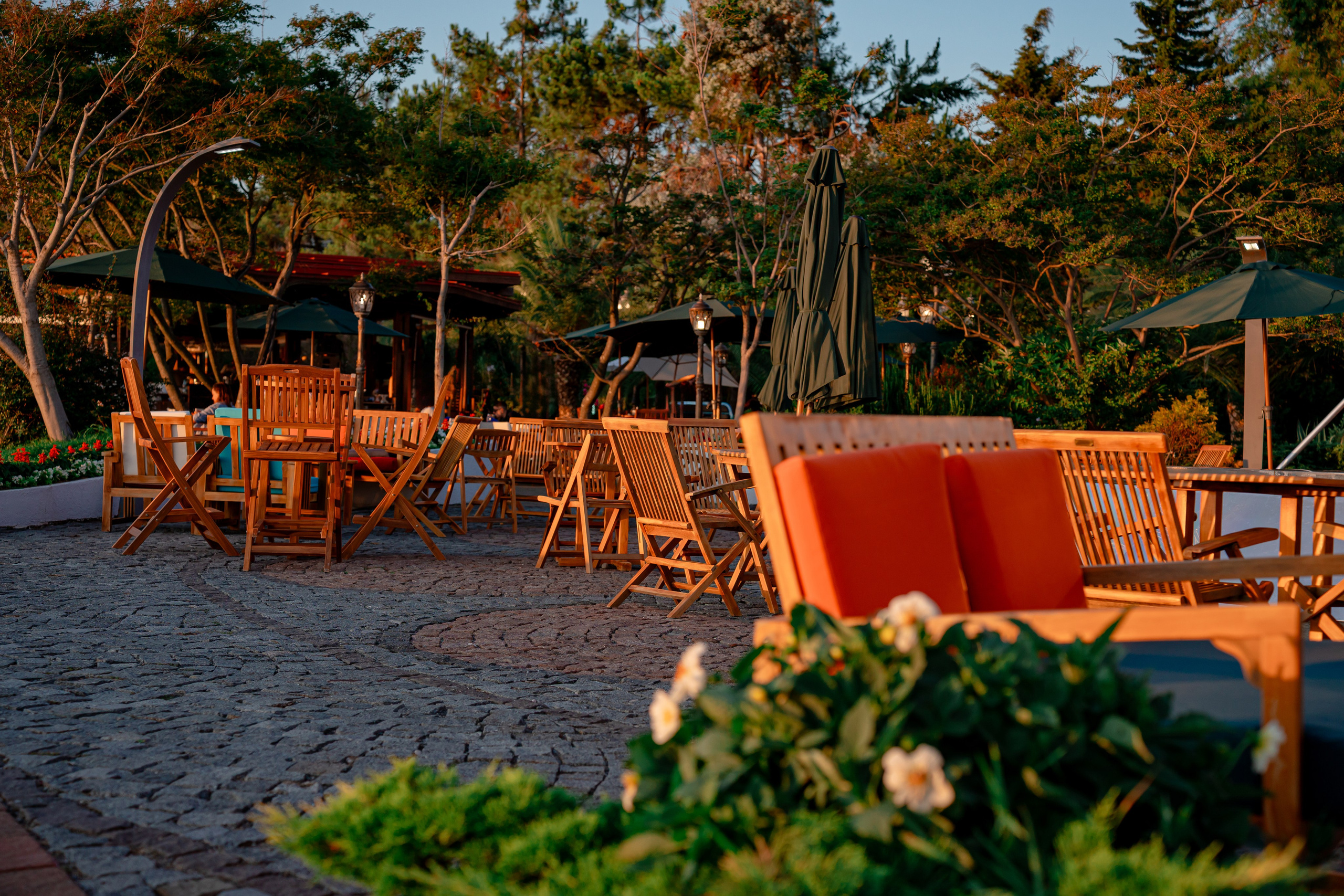 Dreamland Oasis Chakvi. Фотограф Батуми | Ксения Кинасова