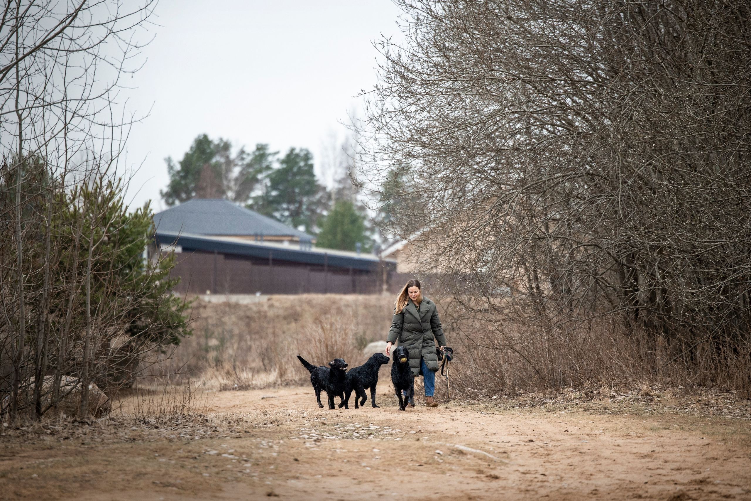 Ора, Ева, Рози и их семья. Фотограф — Анималист | Санкт-Петербург