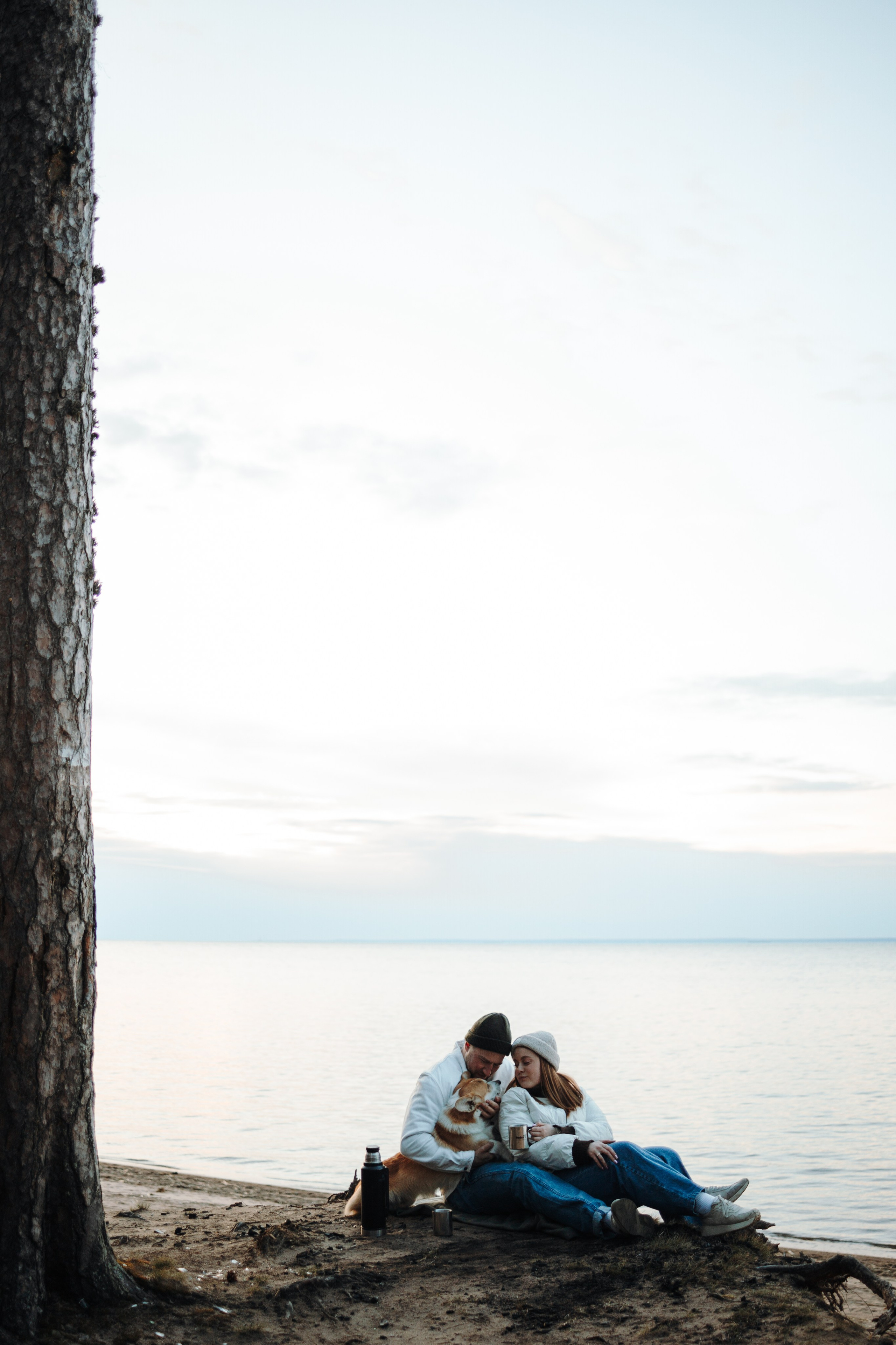 Найт и его семья. Фотограф — Анималист | Санкт-Петербург