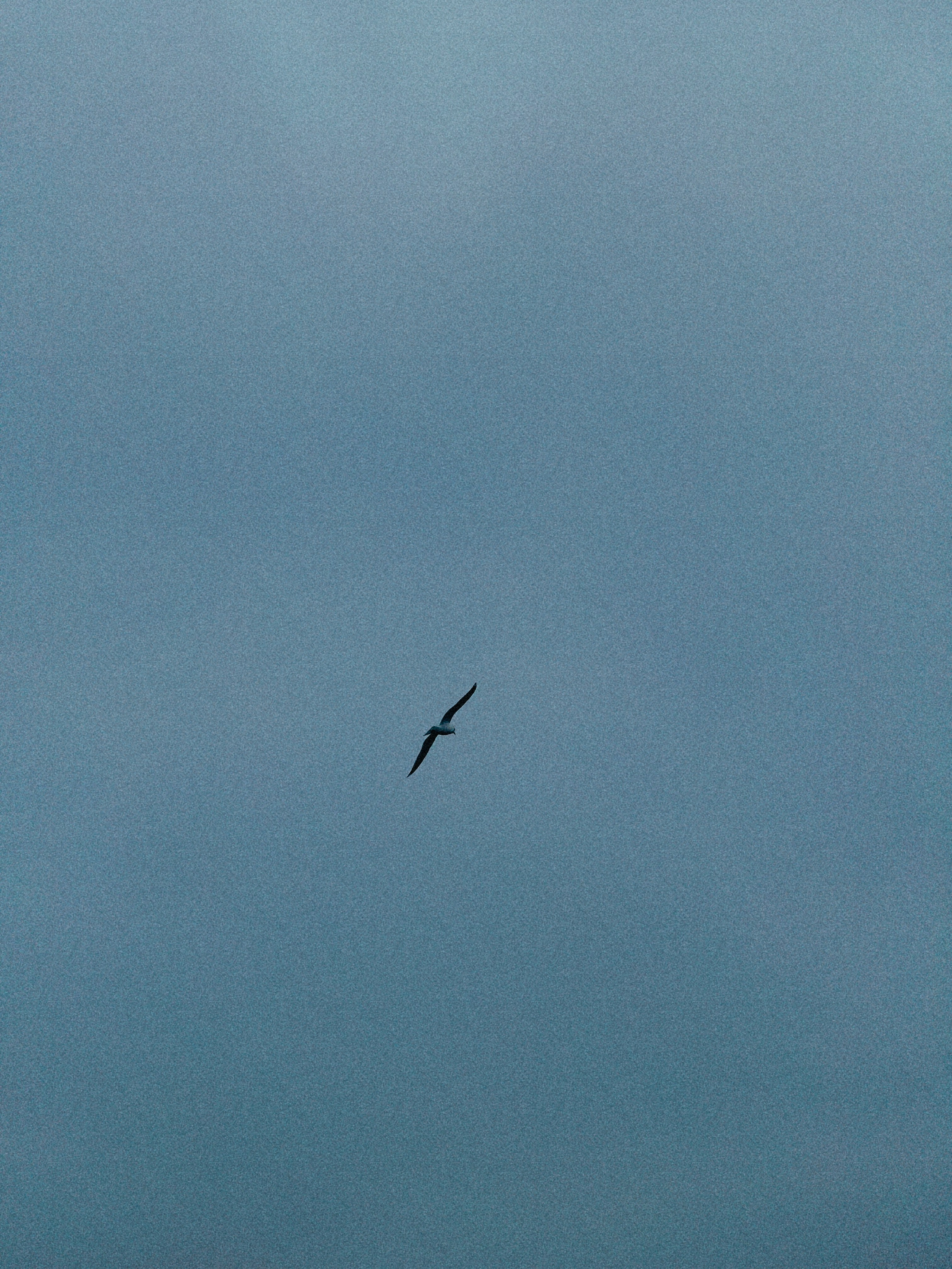 Телефон. Film and another stuff