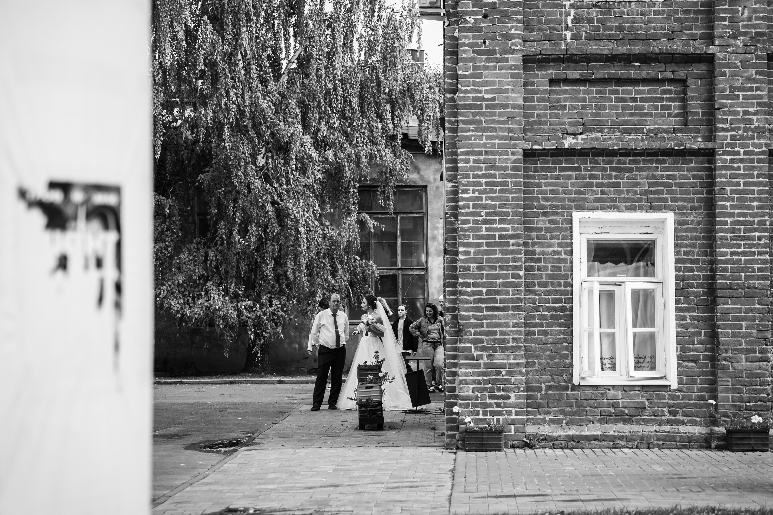 D&S. Алёна Хомич. Свадебный и семейный фотограф Коломна, Москва