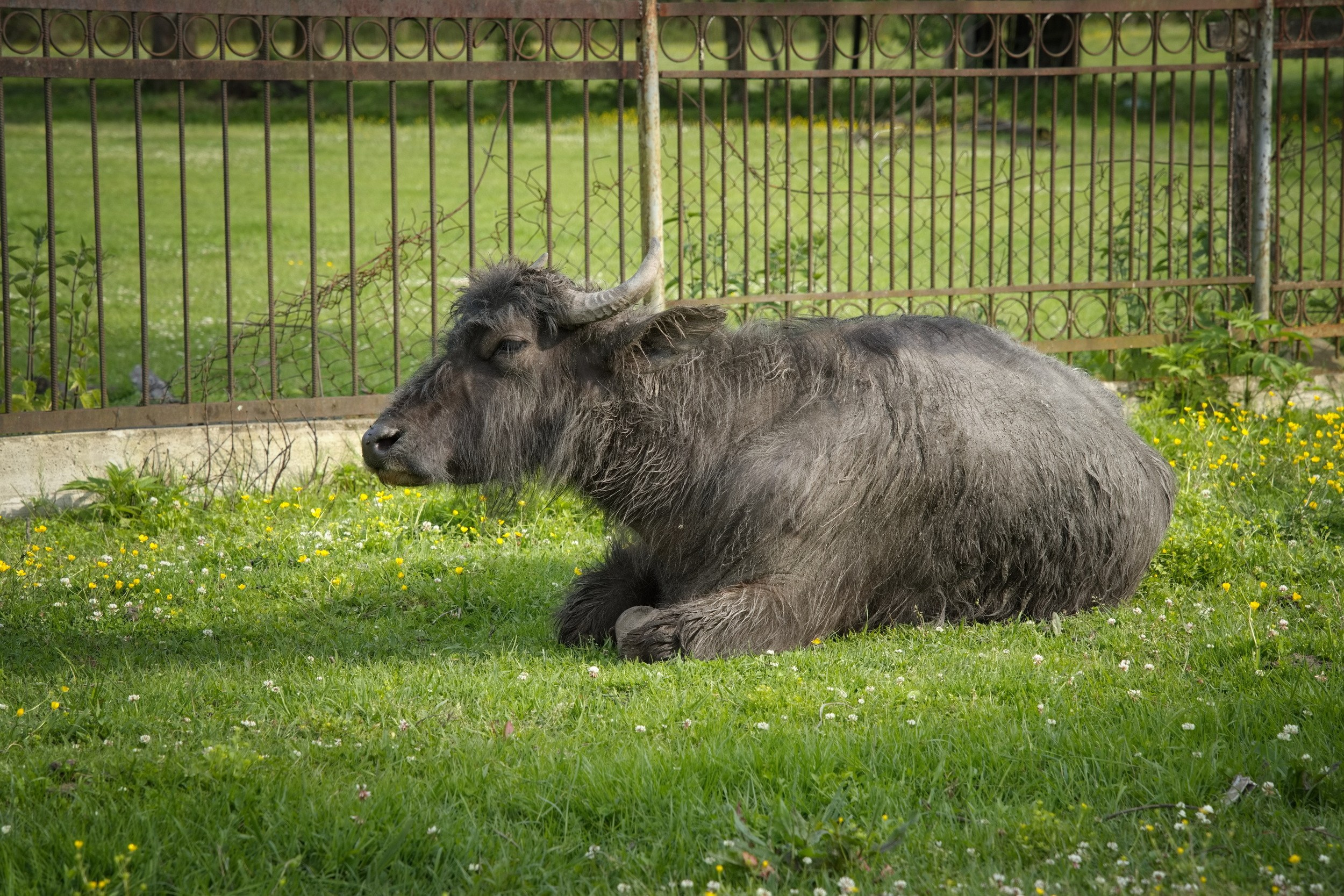 Путешествие по Абхазии в начале мая 2025 г. Вадим Шейдин