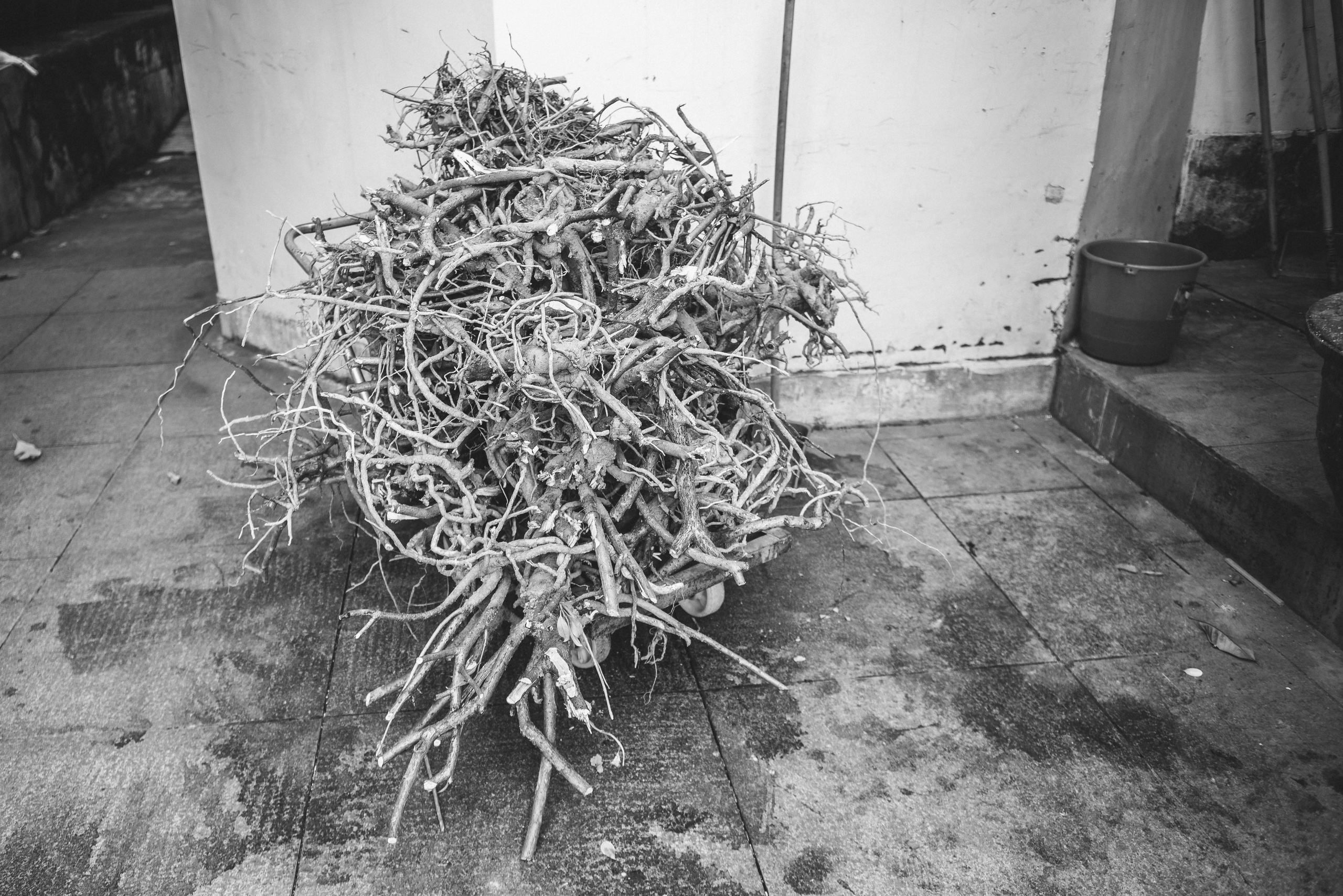 ПОРТФОЛИО. Художник, фотограф и арт-терапевт в Казани Аймалетдинова Альмира