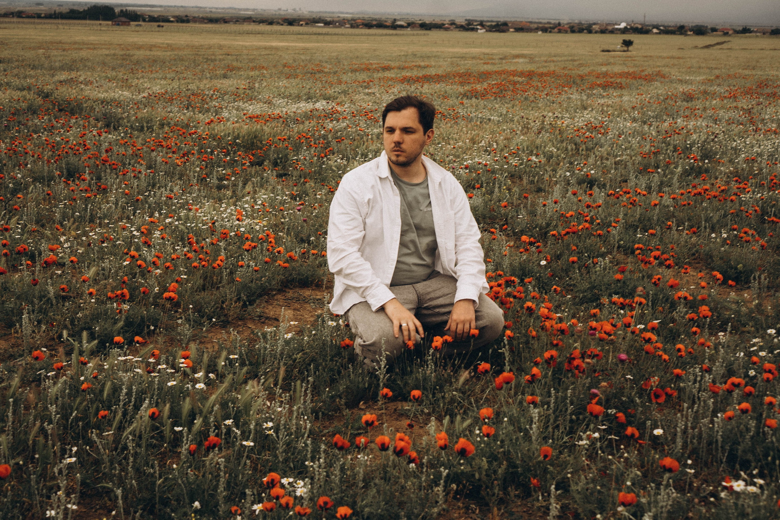 Маки. Профессиональный фотограф, Санкт-Петербург — Виктория Богомолова