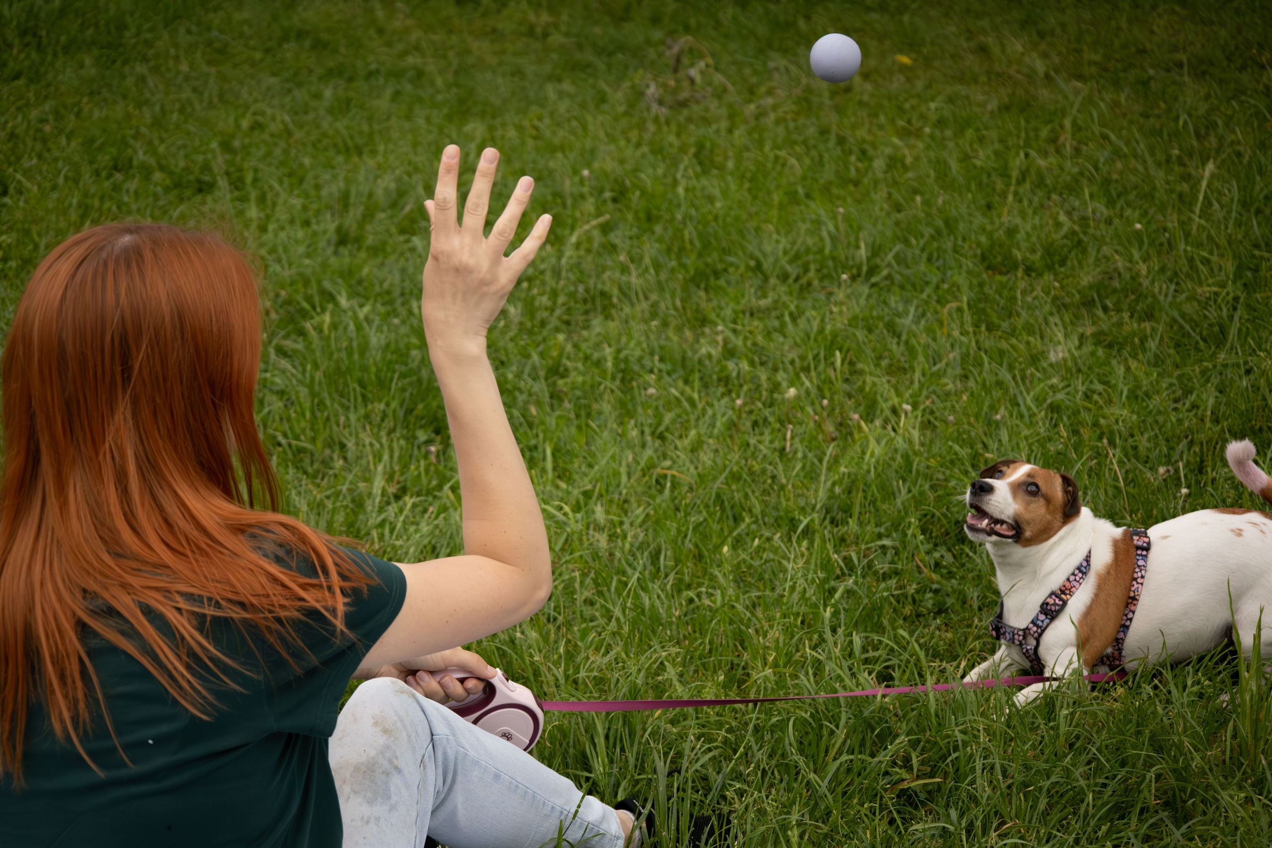 Моя маленькая спутница: Банни и Настя в Южнобутовском парке. Фотограф-анималист в Москве Екатерина Тихонова