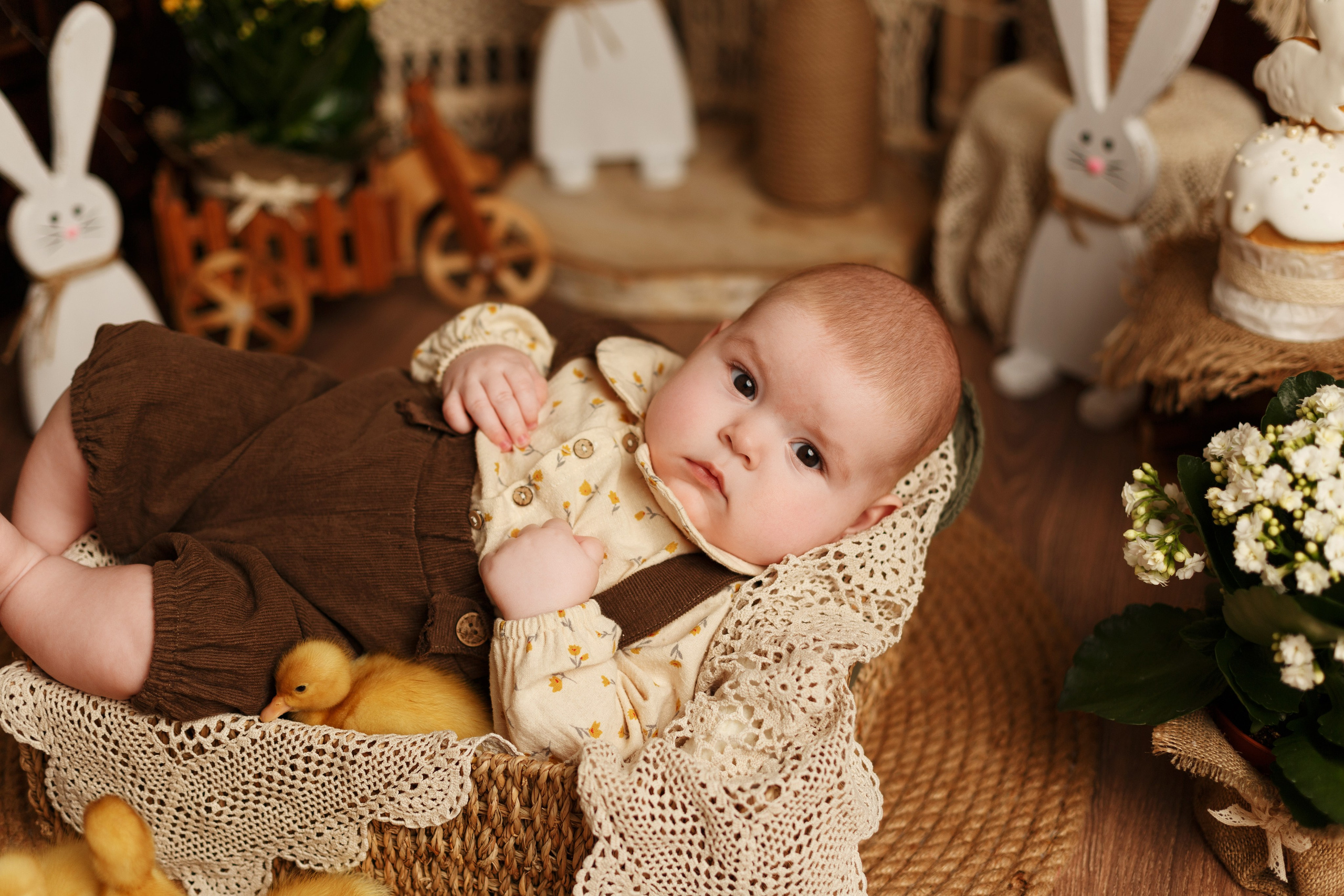 Фотопроекты. Фотограф новорождённых семейный фотограф Томск Елена Каплина