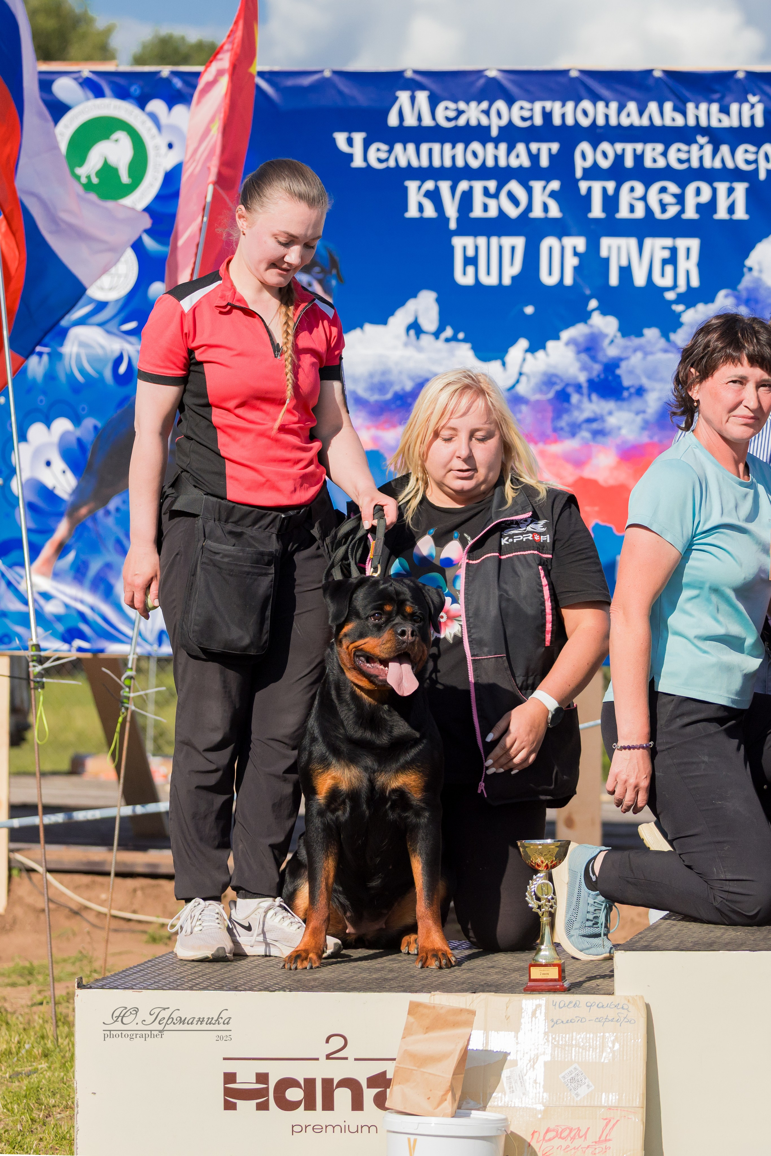 Тверь ротвейлеры 5-6.07.2025. Фотограф-анималист Юлия Германика