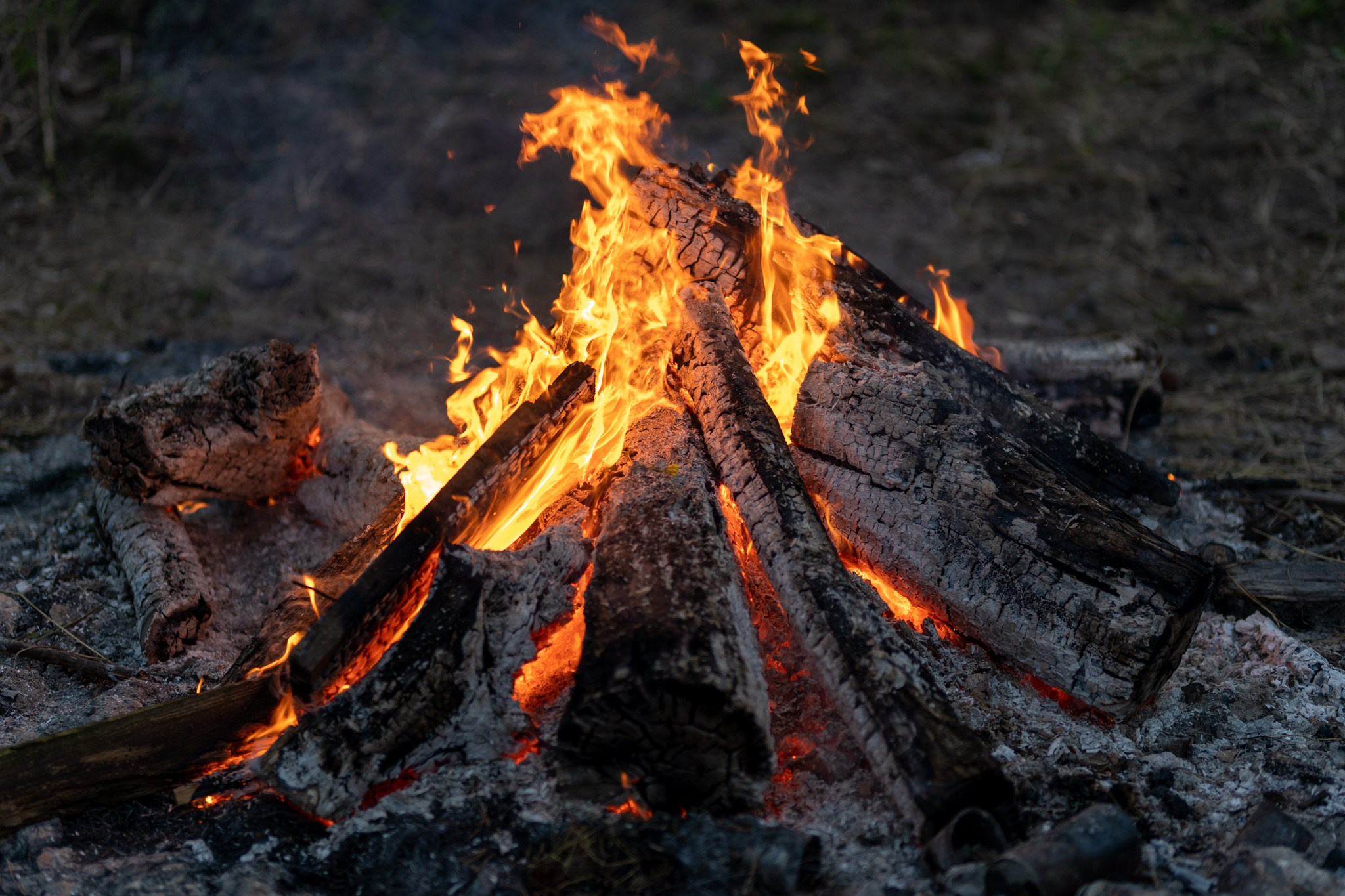 КустАрт Бежен луг 2019. Фотограф Василий Буланов