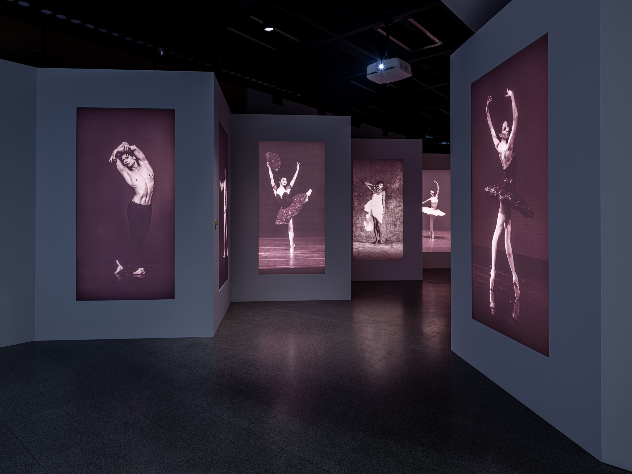 Выставка «Первая позиция. Русский балет» Манеж (СПБ) Planet9 РОСИЗО 2023. Фотограф Василий Буланов