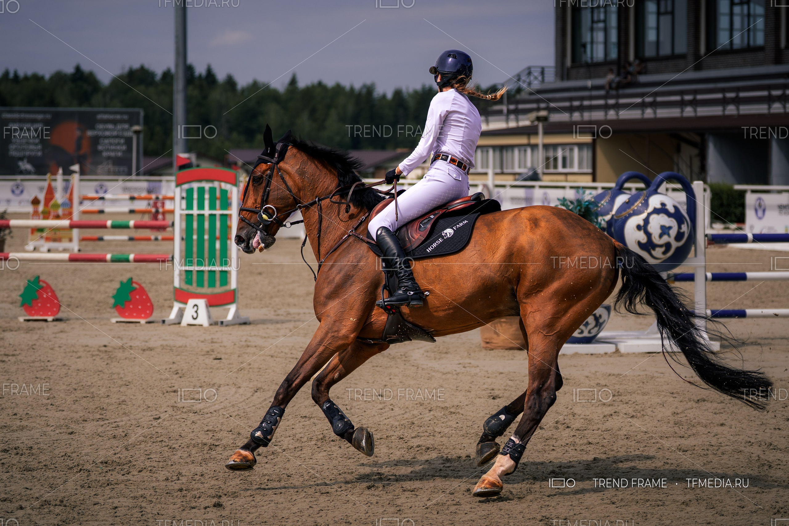 Maxima Park, Евразийские Игры 2025 — всадница на лошади в динамике, подготовка к преодолению препятствия, конкур. Премиальная съёмка TrendFrame.
