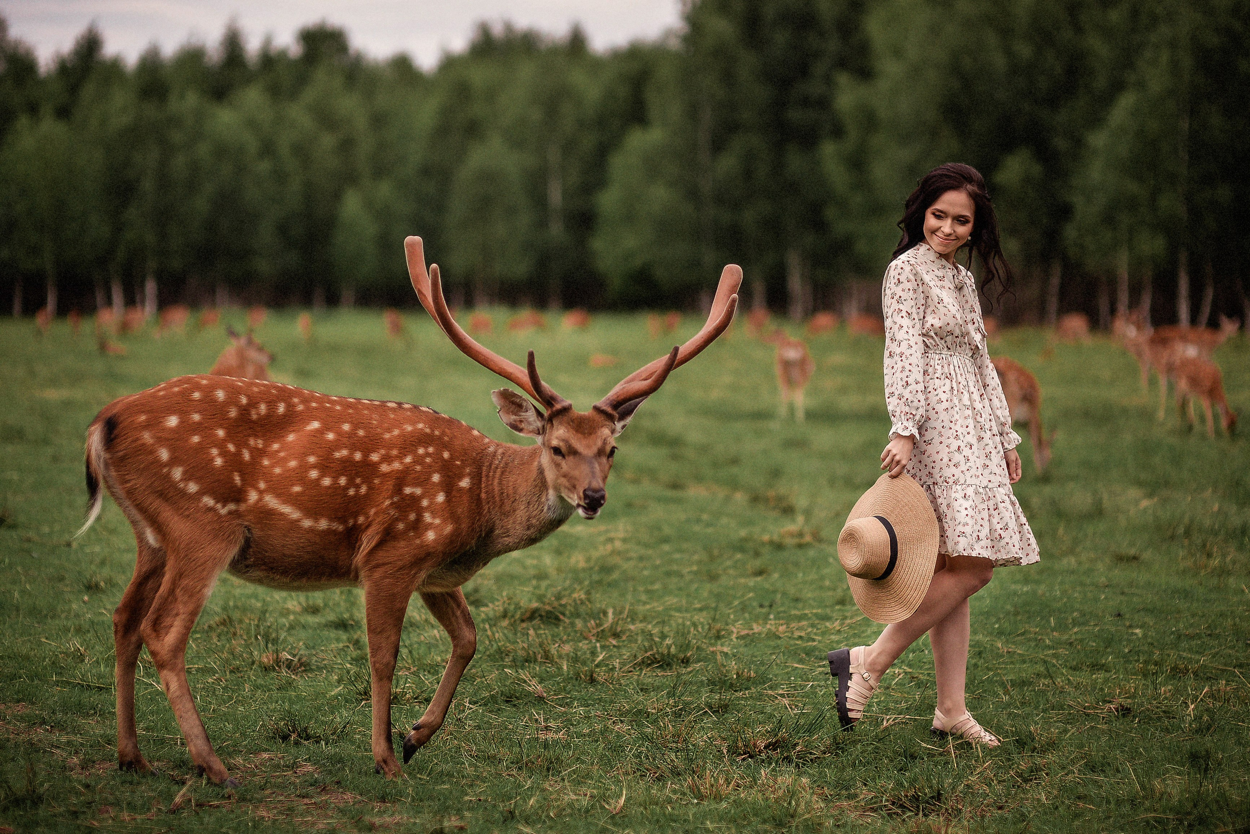Индивидуальная. Свадебный Фотограф в Твери Анастасия Булкина