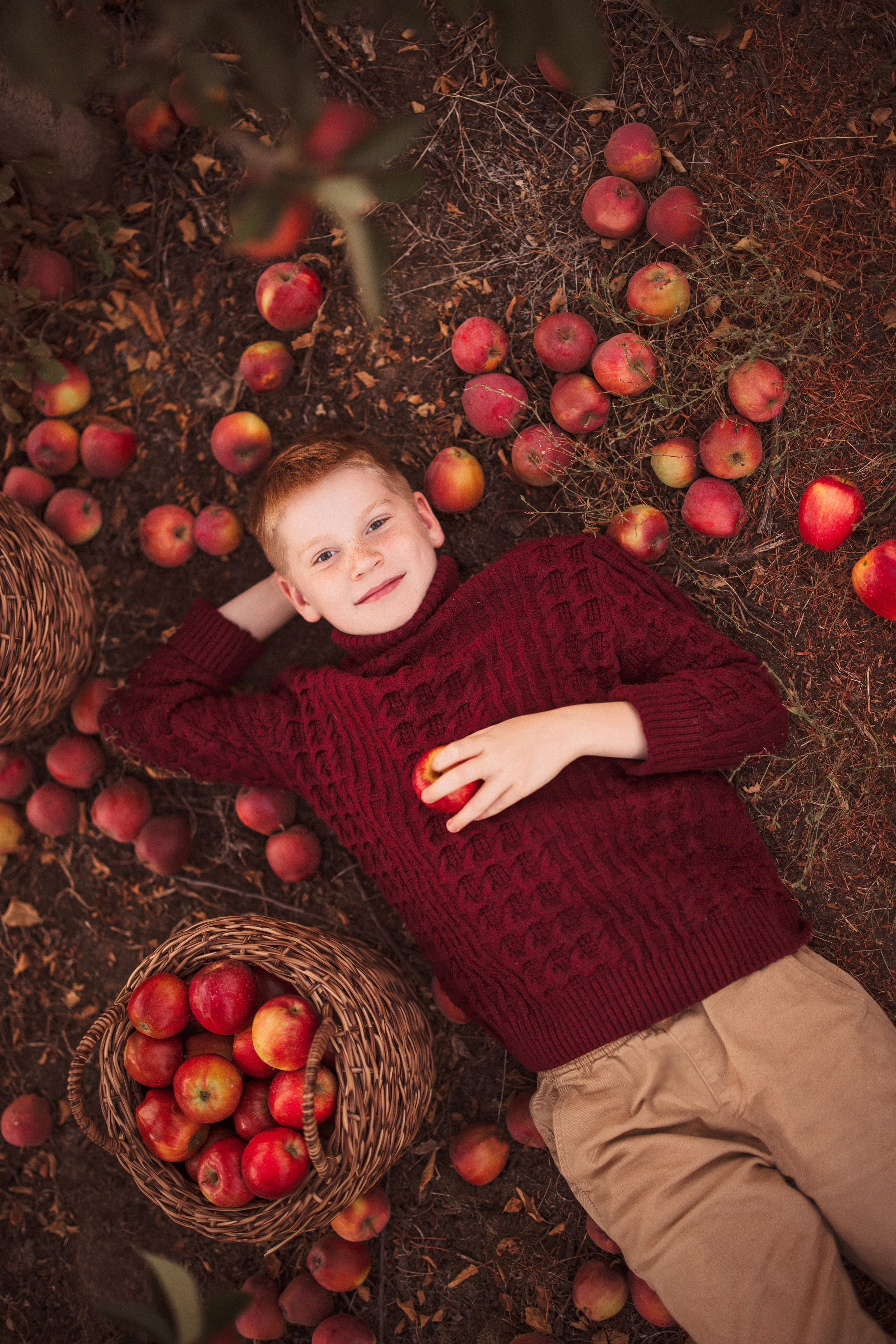 Сбор урожая Яблок. Семейный и детский фотограф в Краснодаре Анна Трашкова