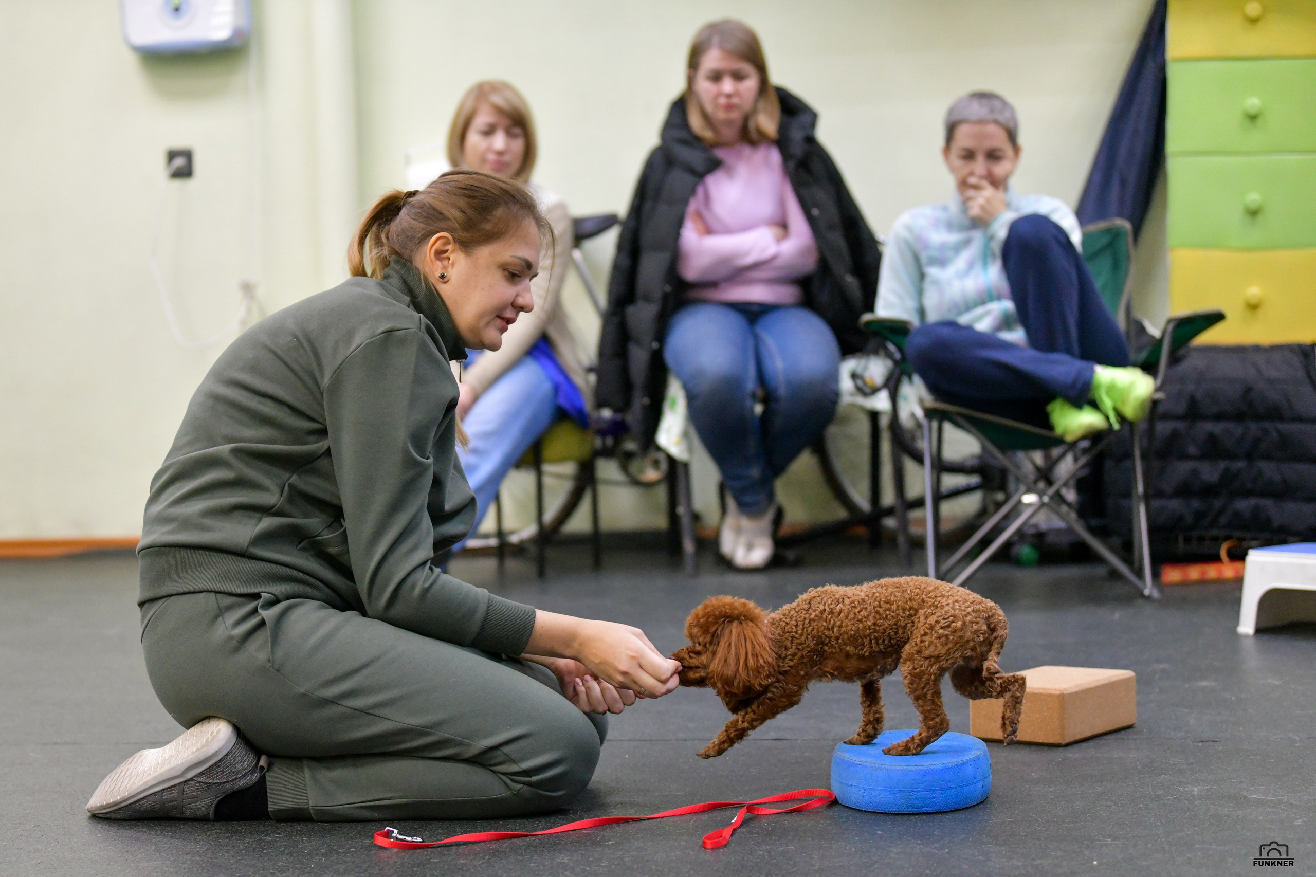 Кинологический клуб «Бодрый хвост». Свой взгляд через объектив
