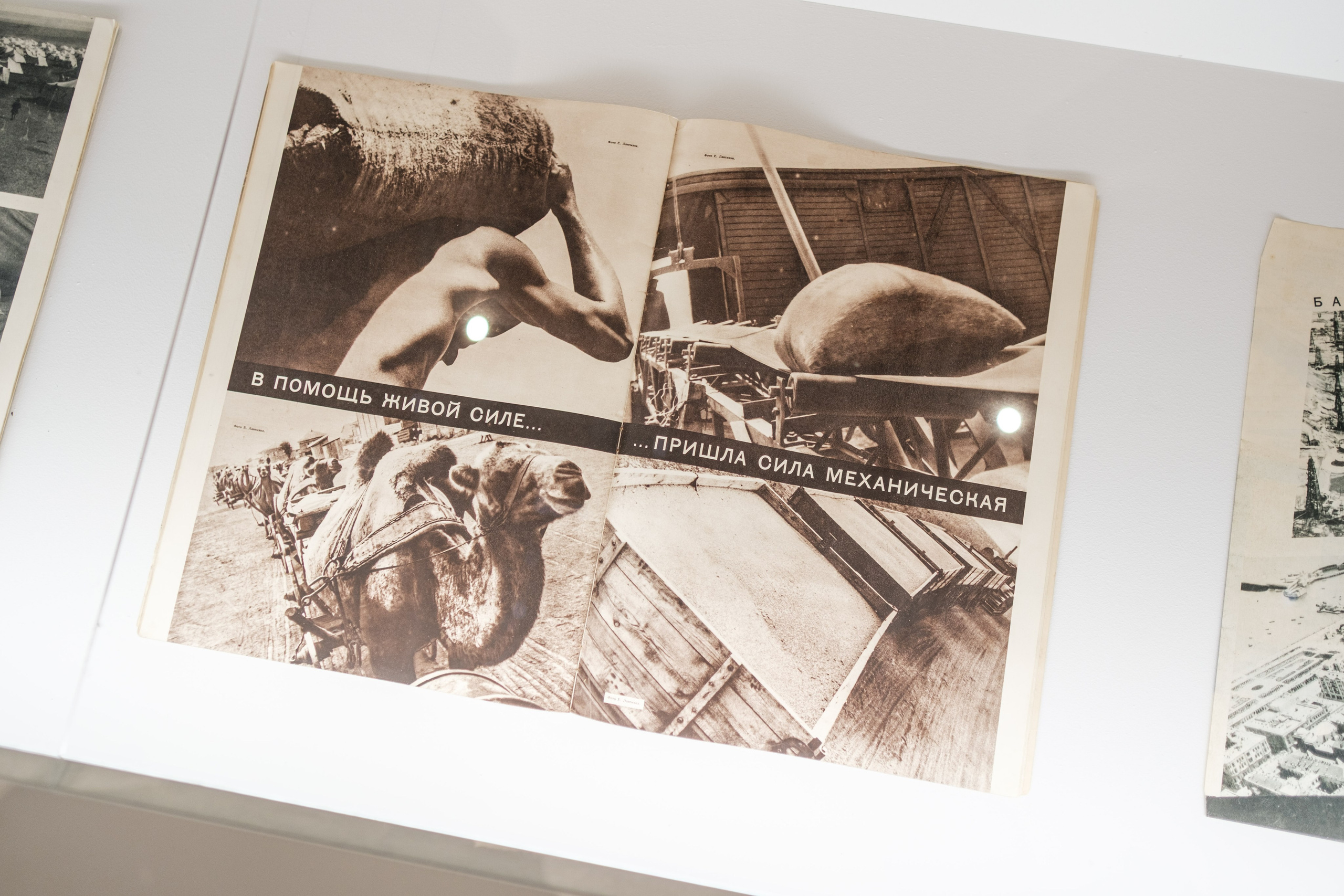 Выставочный проект «Фотоискусство. От дагеротипа до искусственного интеллекта». Фотограф Балаев Михаил