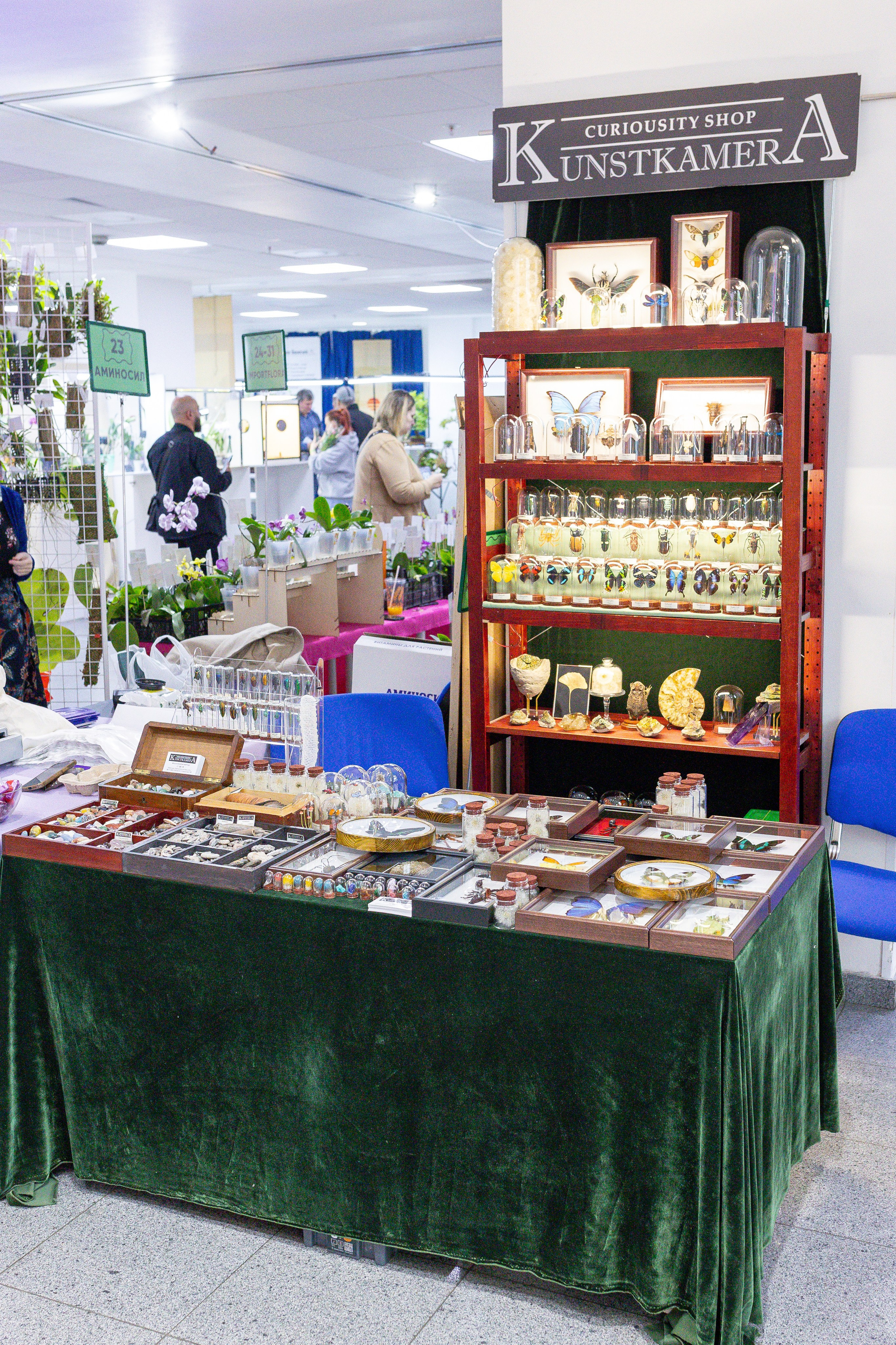 Орхидиум май 2025. Александра Куликова фотограф, Москва