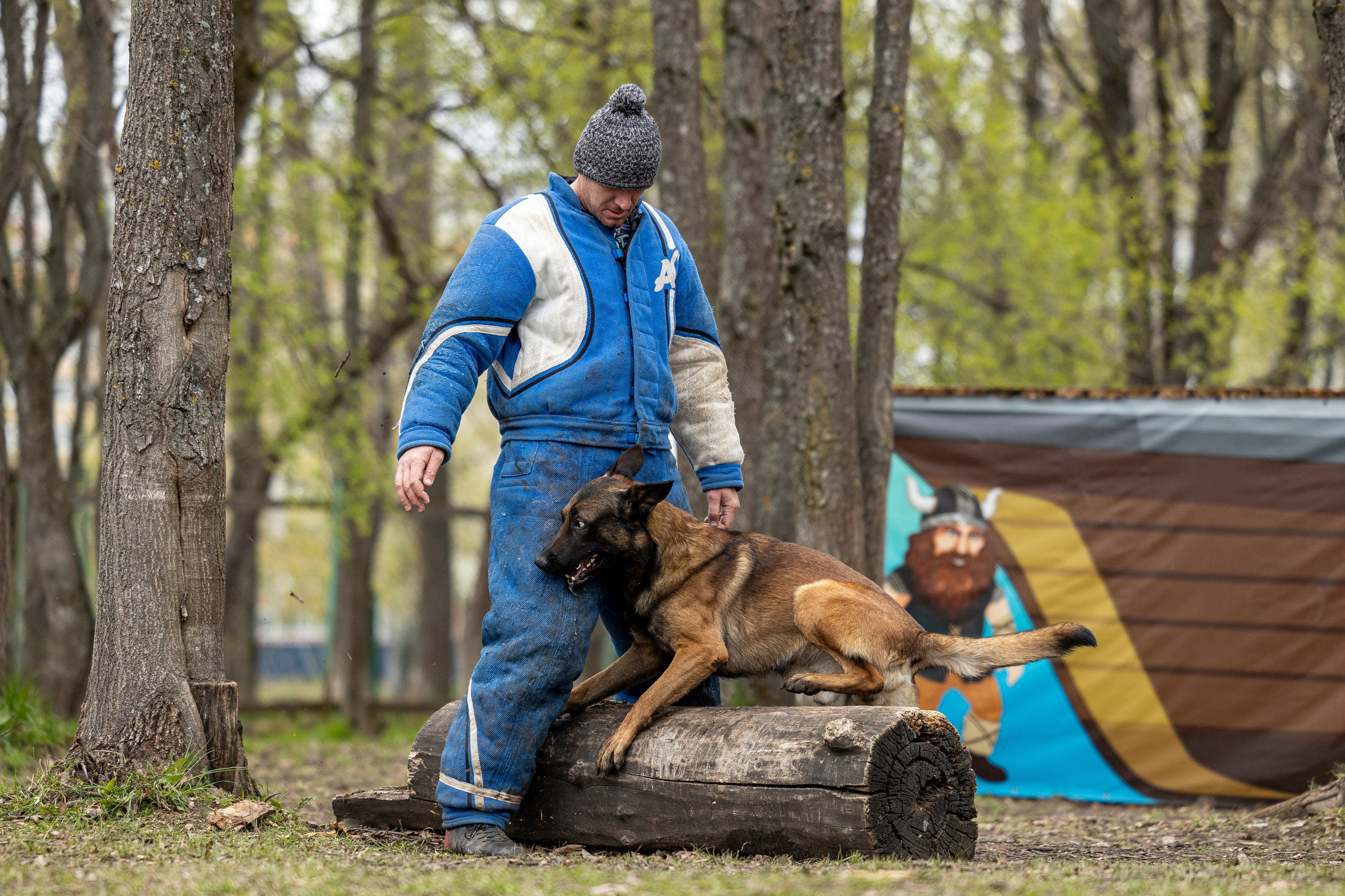 Квалификационные состязания по мондьорингу г. Вологда 11.05.24. Фотограф-анималист Анна Маринич