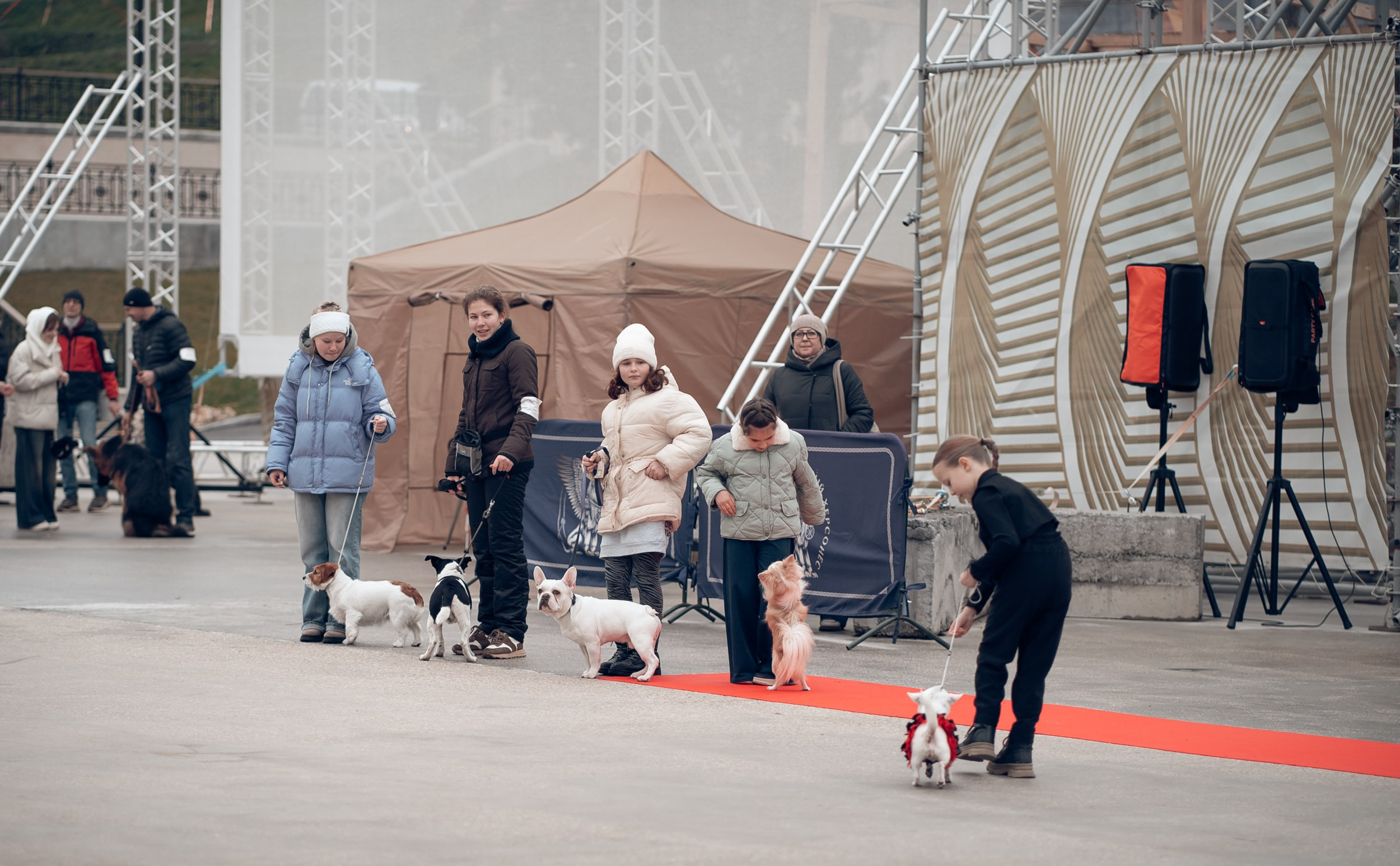 Благотворительная выставка собак в Новом Херсонесе г. Севастополь. Церковный фотограф Севастополь