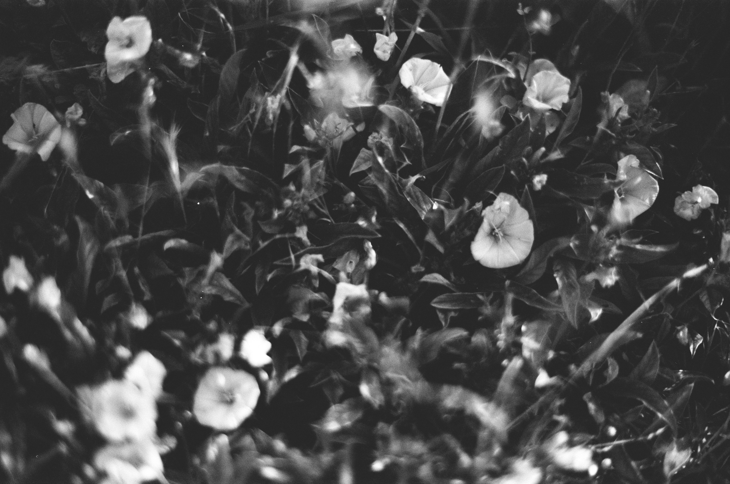 Move me // ukraine, crimea III. EVER EXPOSED