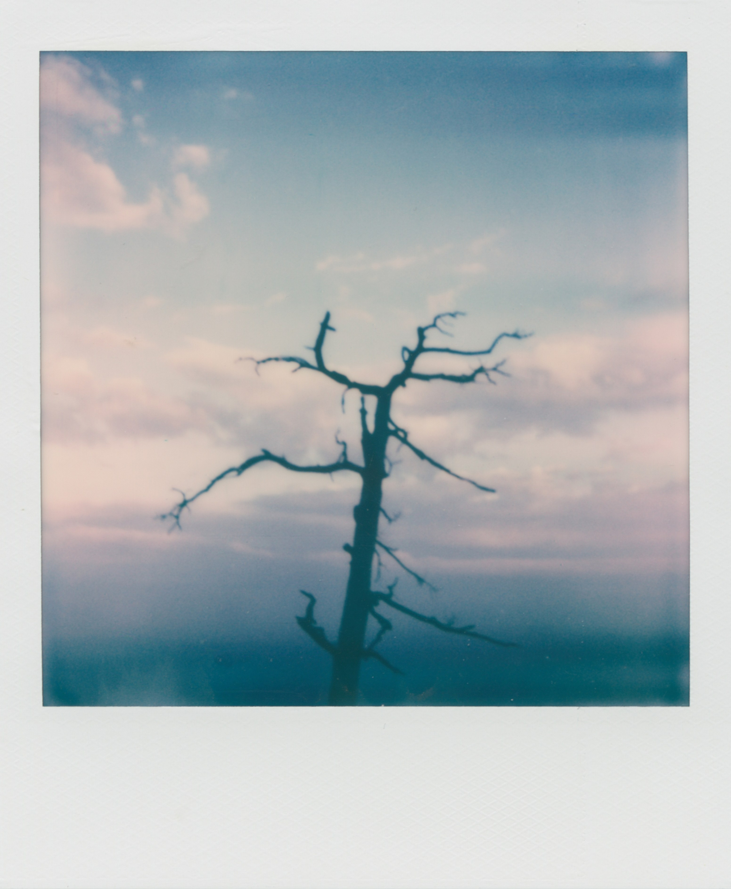 POLAROID. EVER EXPOSED